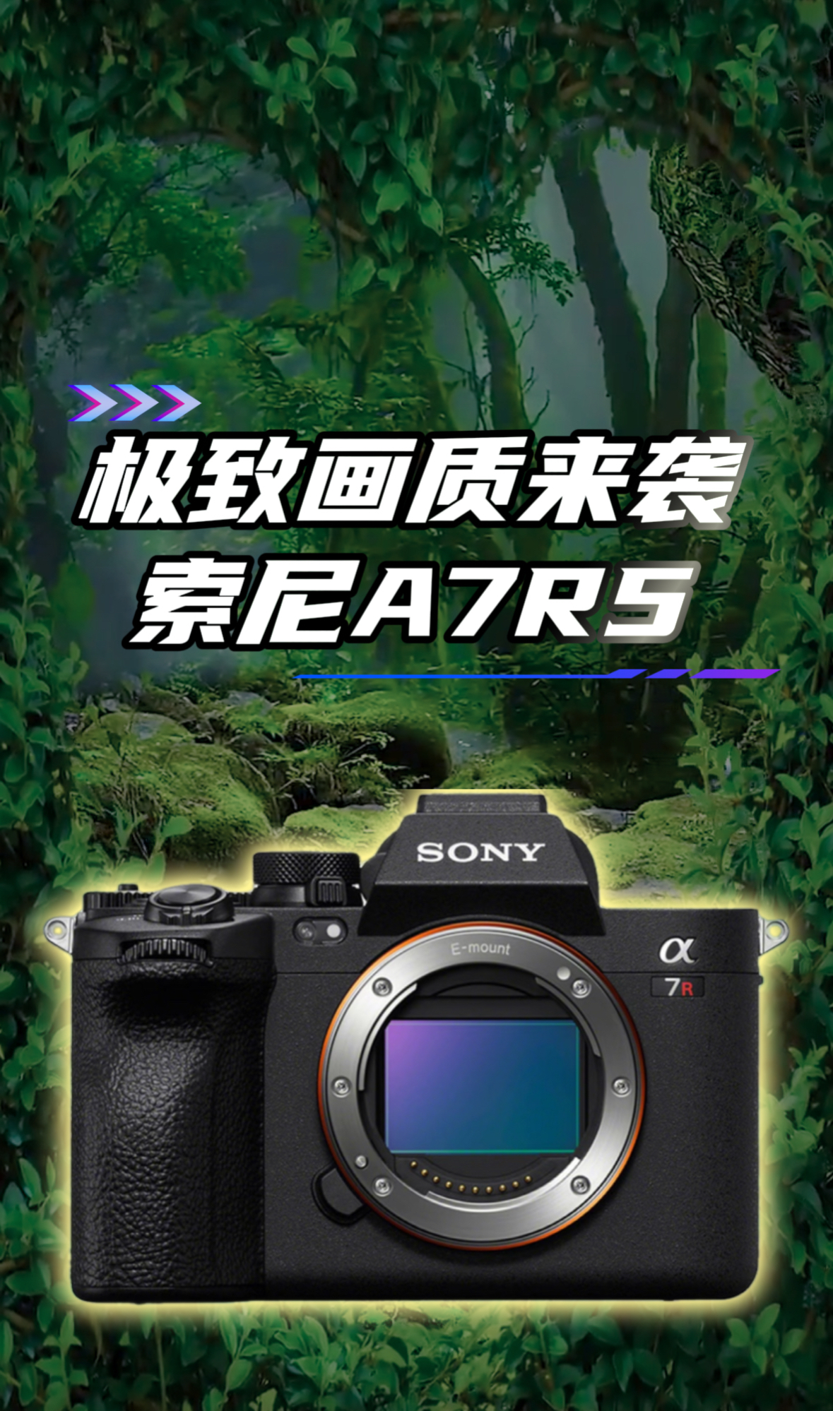 极致画质来袭索尼A7R5微单相机