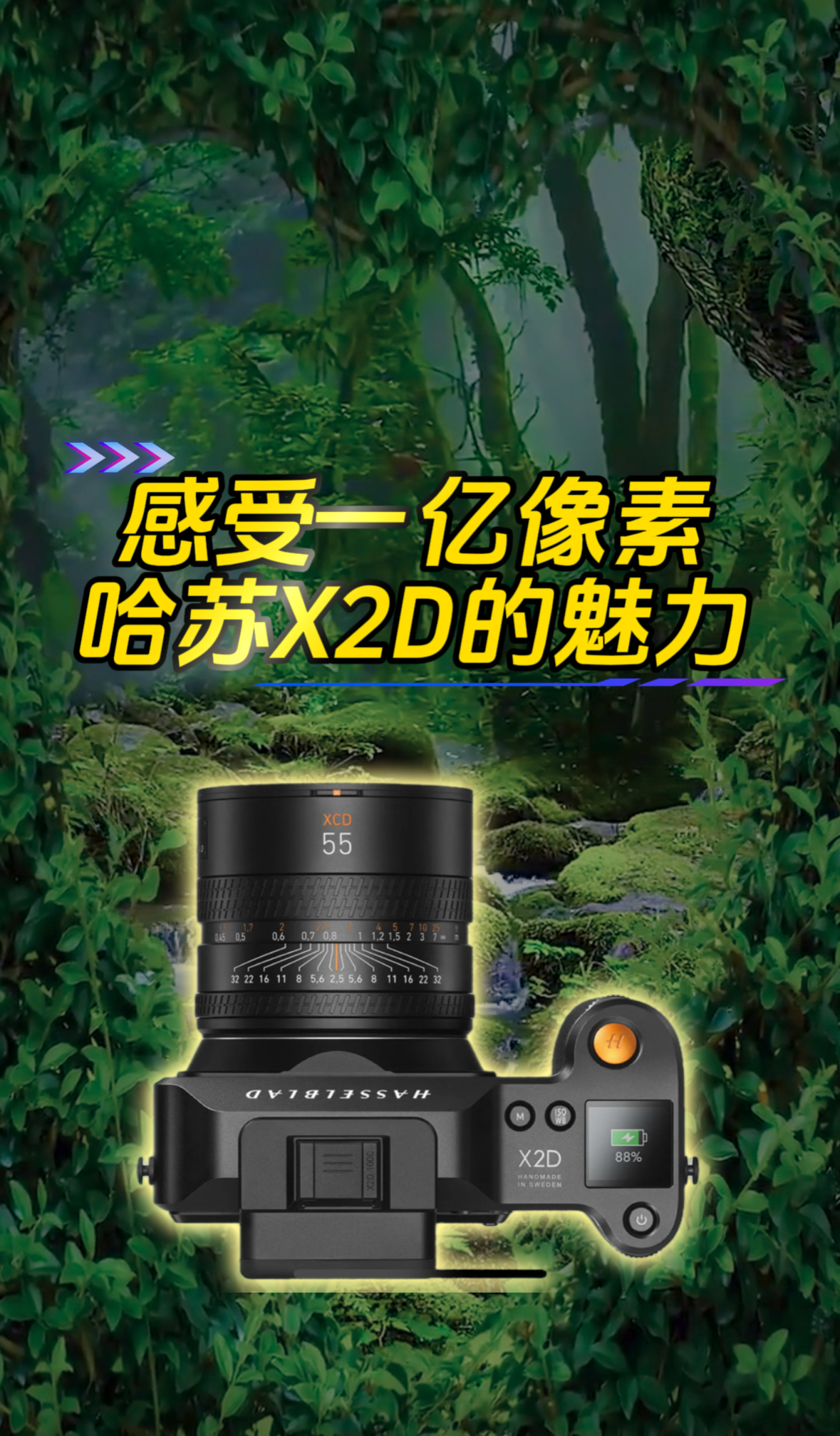感受五个W的玩具哈苏X2D的魅力