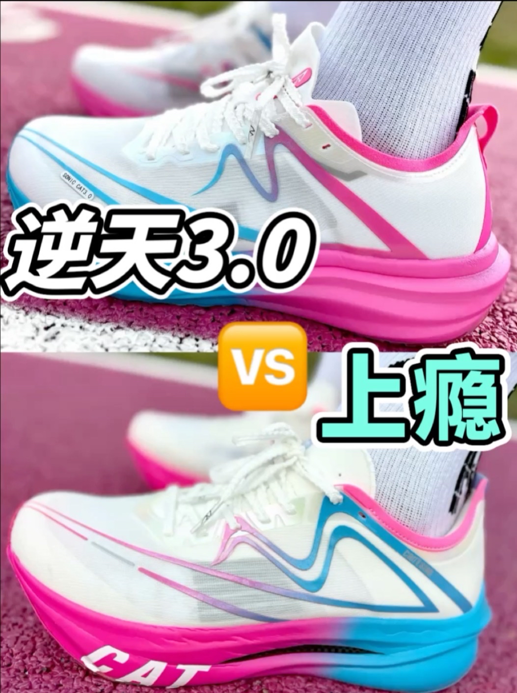 音速猫大pk！你会怎么选？