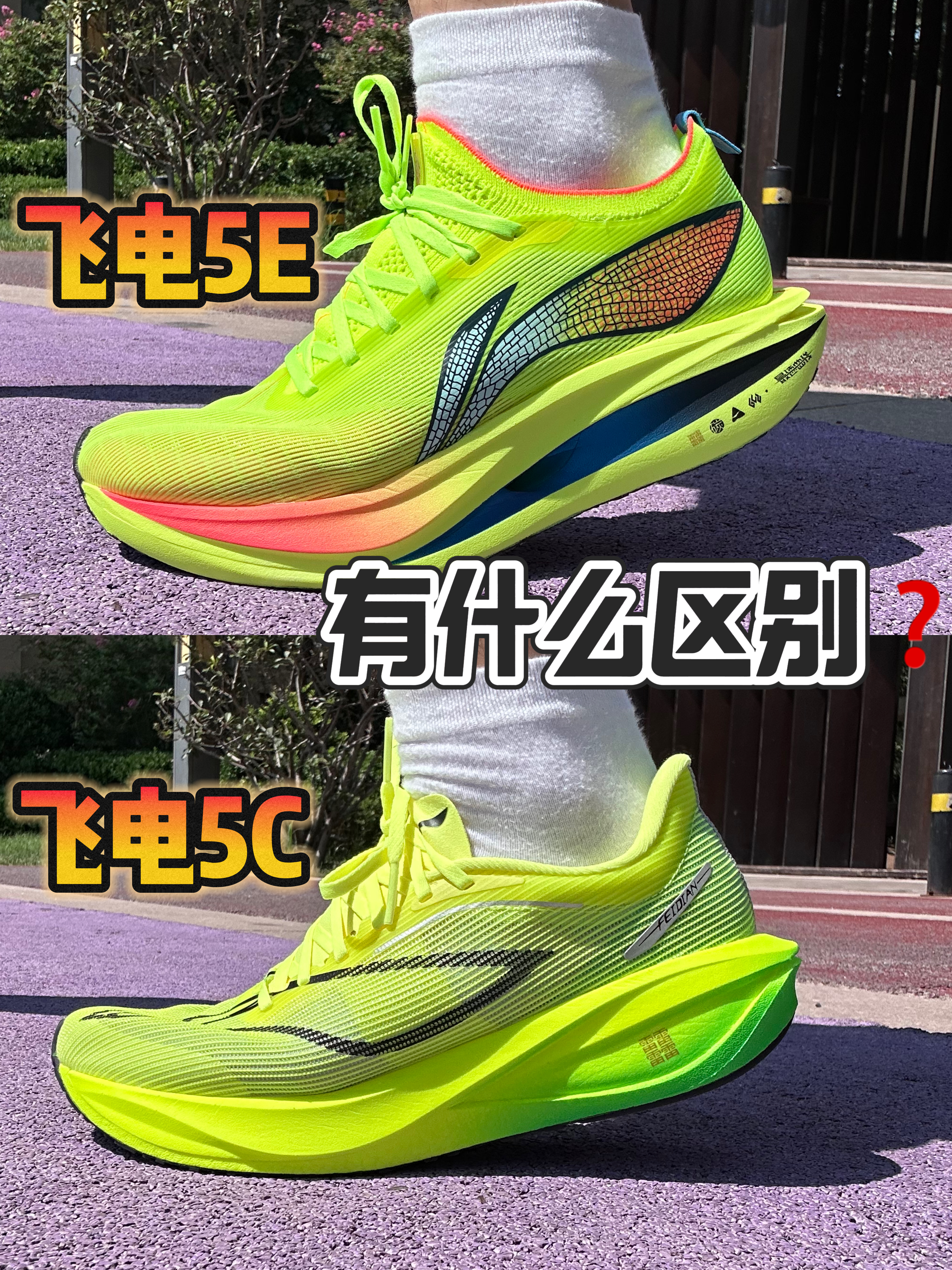 价格差一倍❗️到底该怎么选？❓