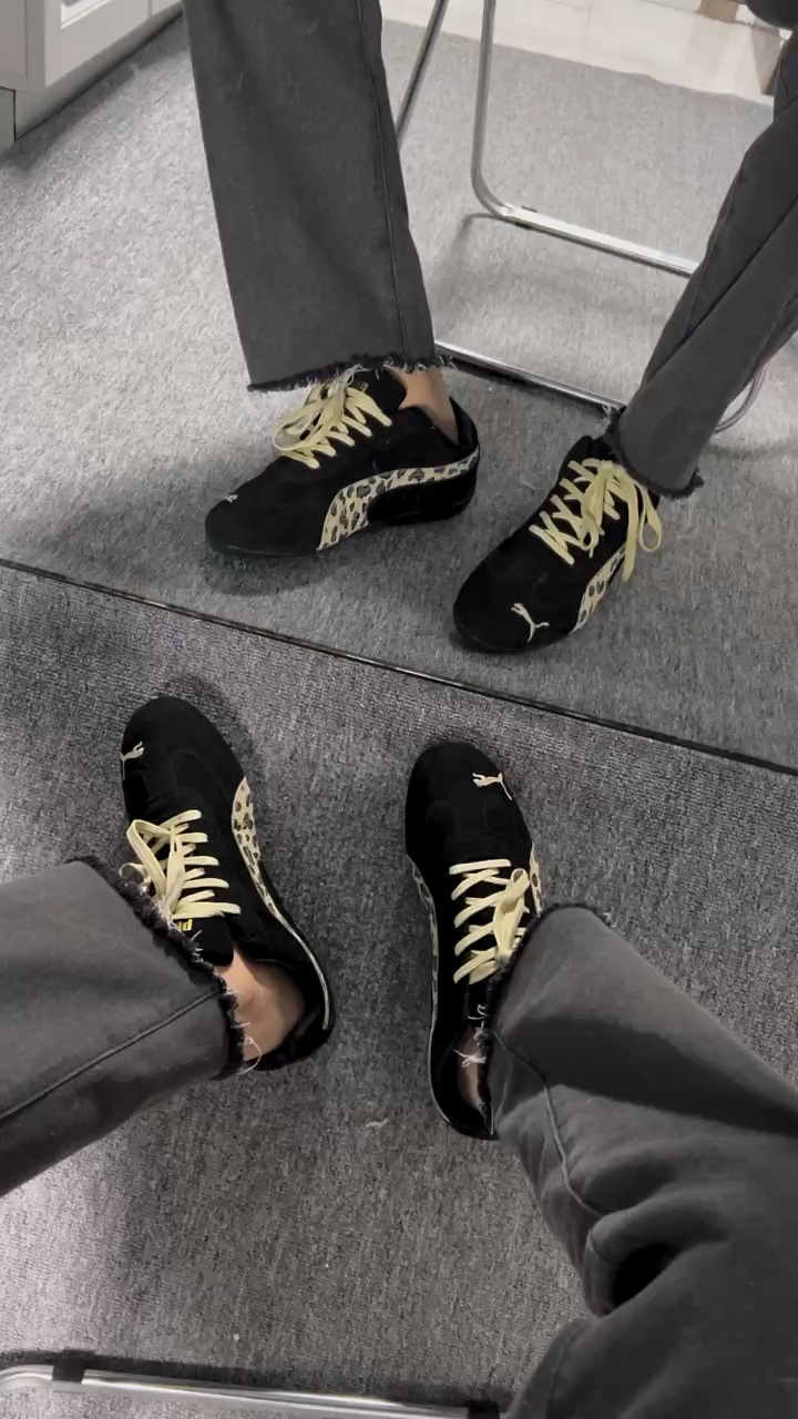 金钱豹配色的小马