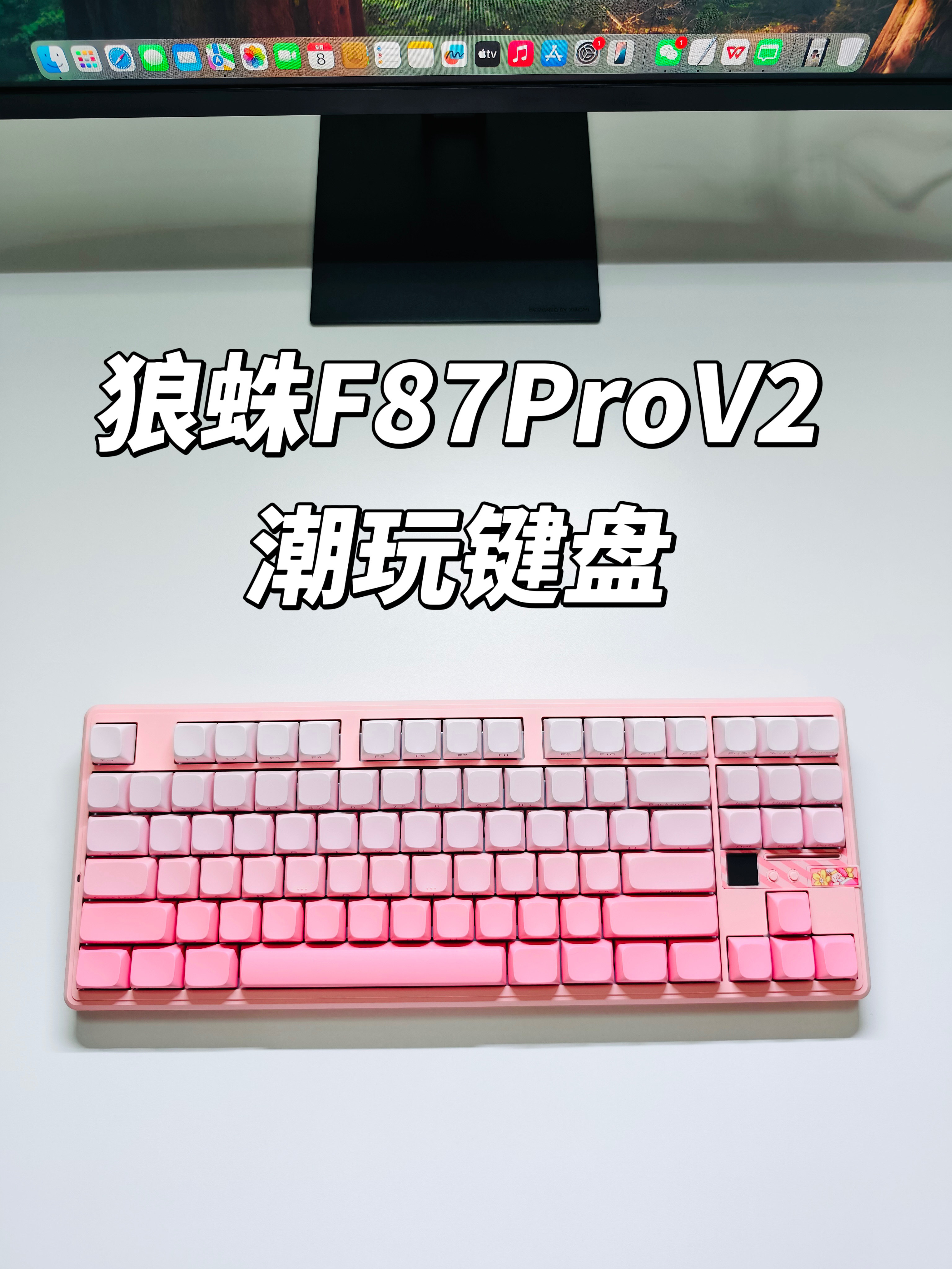 潮玩键盘新选择？狼蛛F87Pro V2可玩性没得说