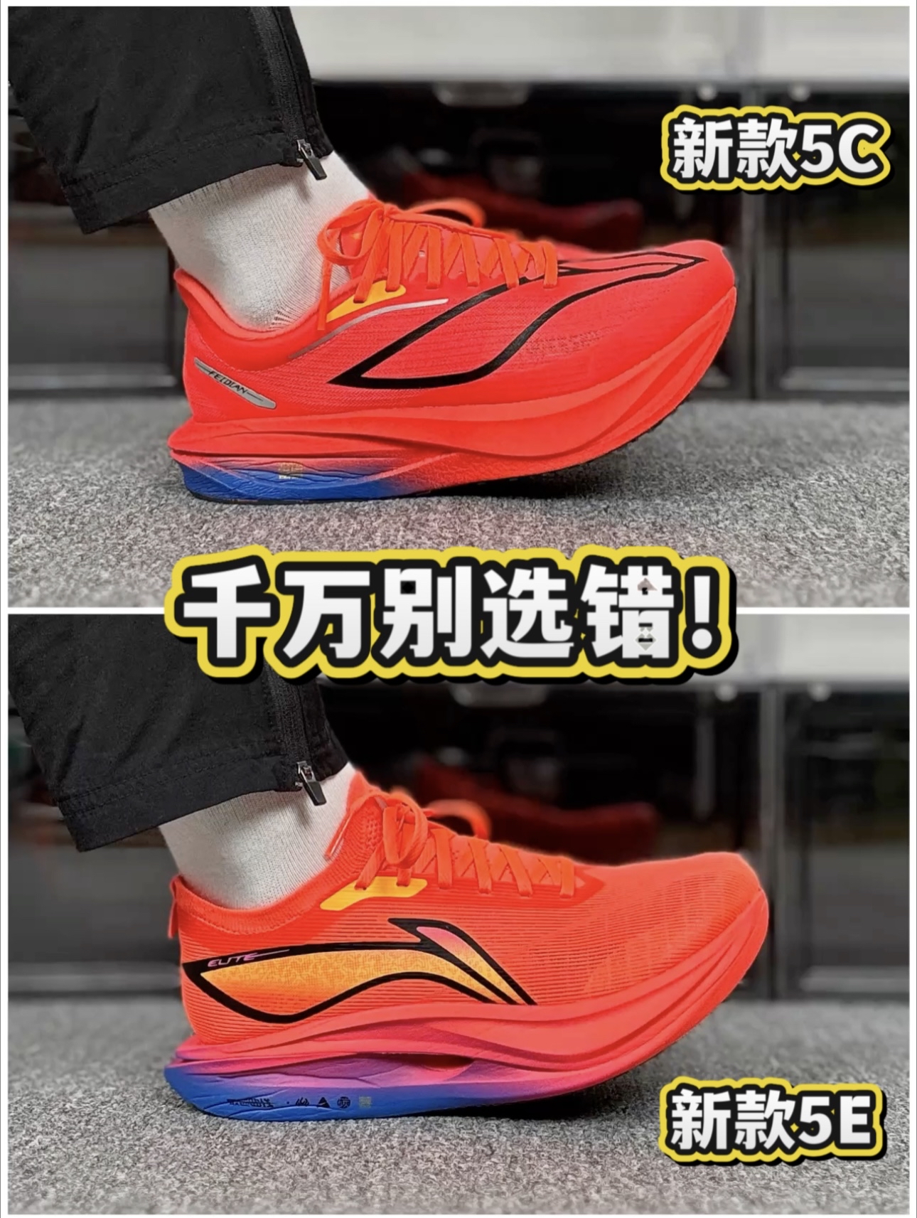 新款5C & 新款5E，1分钟教你怎么选❗️