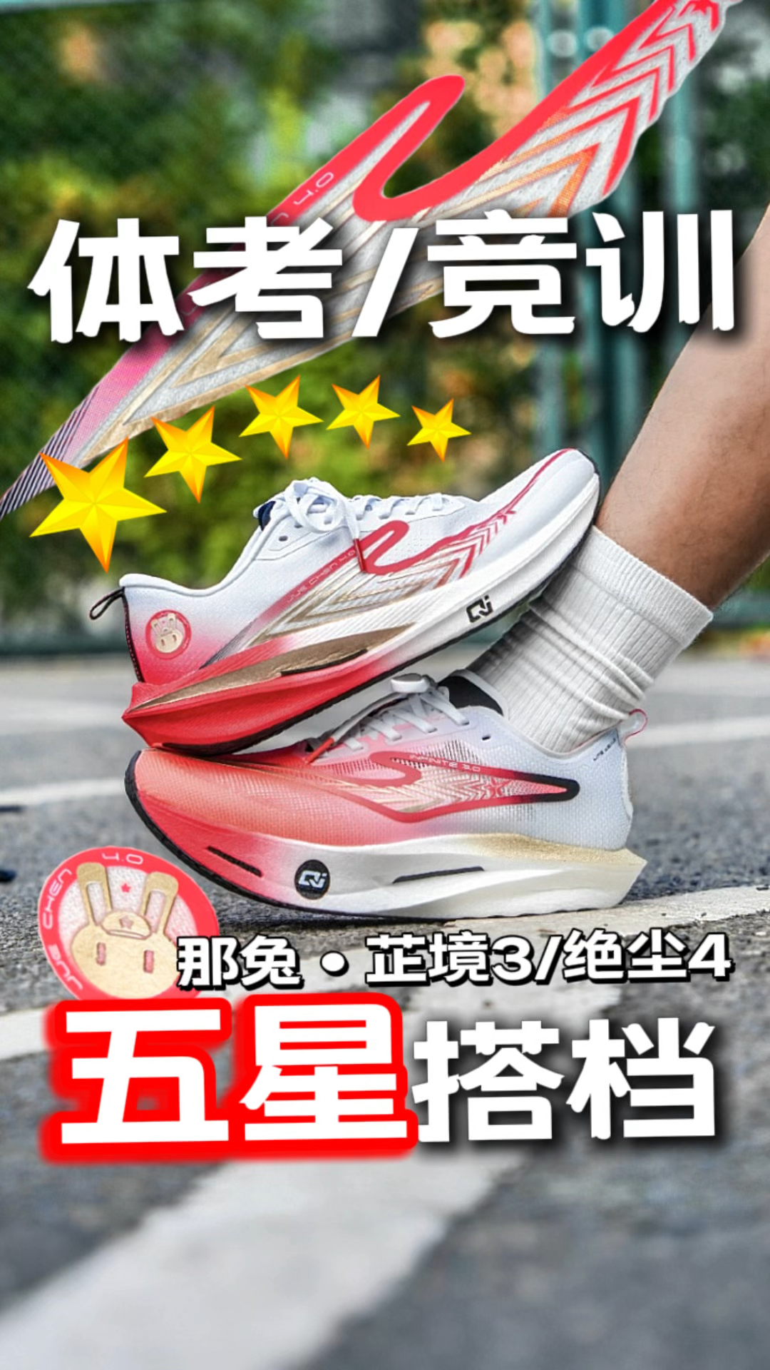 体考竞训五星搭档！那兔×芷境3&绝尘4