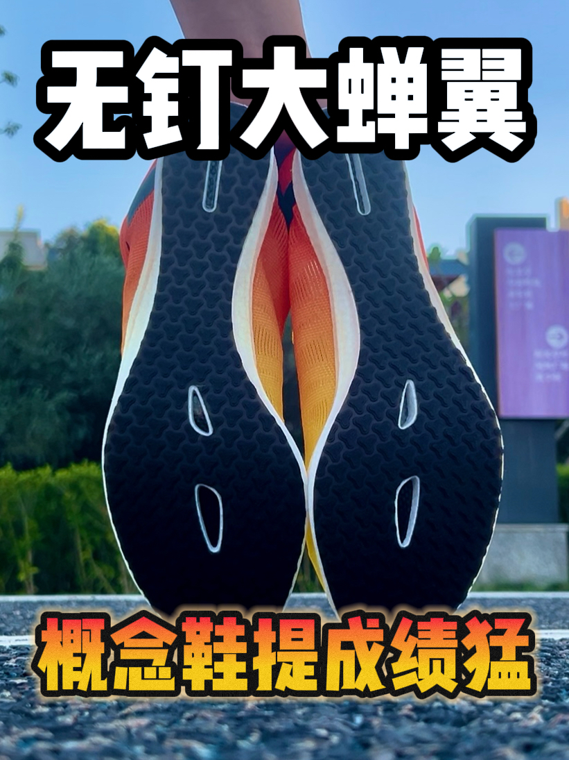 比带钉强⁉️无钉大蝉翼到底行不行‼️