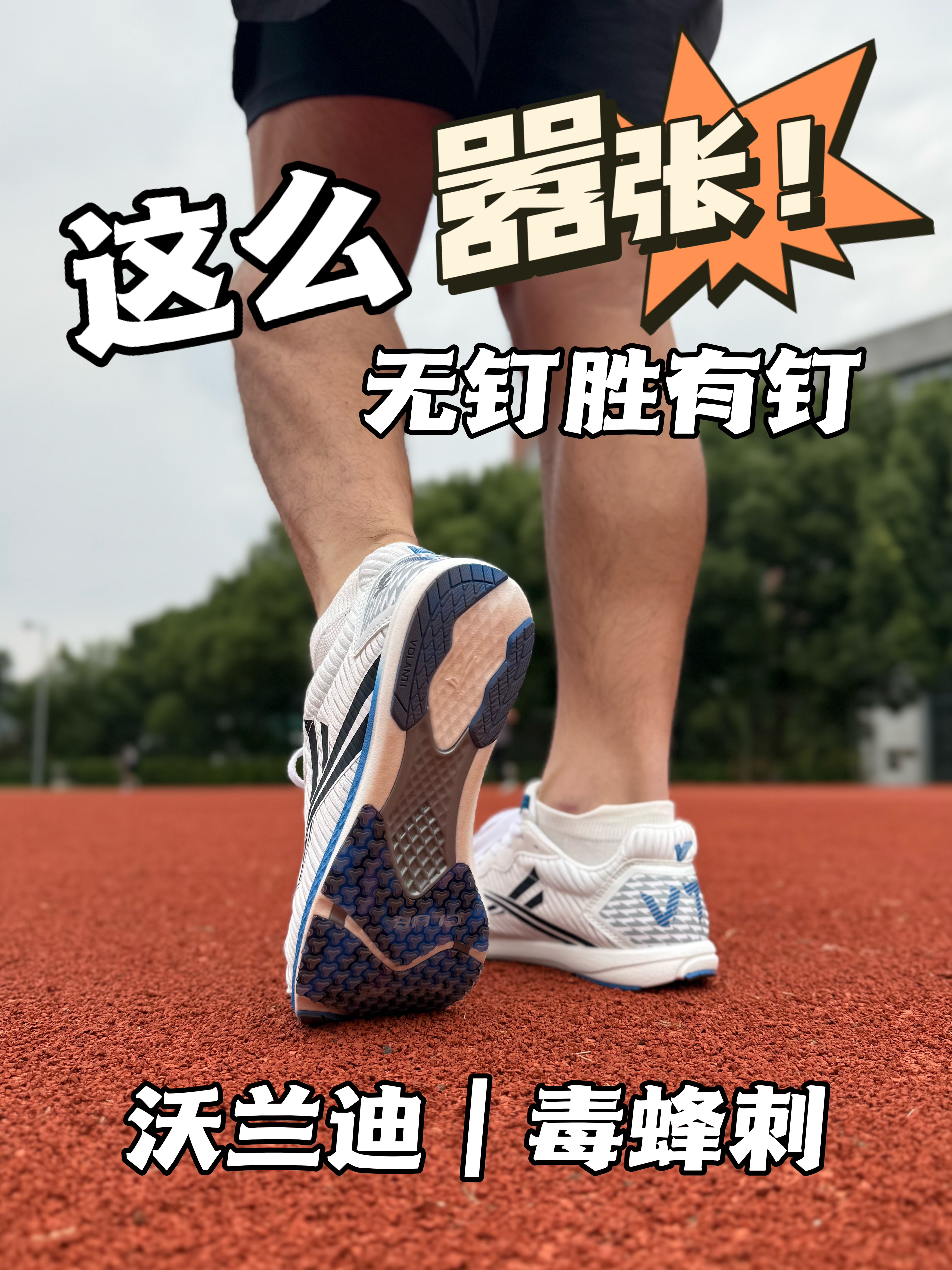 毒蜂刺｜无钉胜有钉
