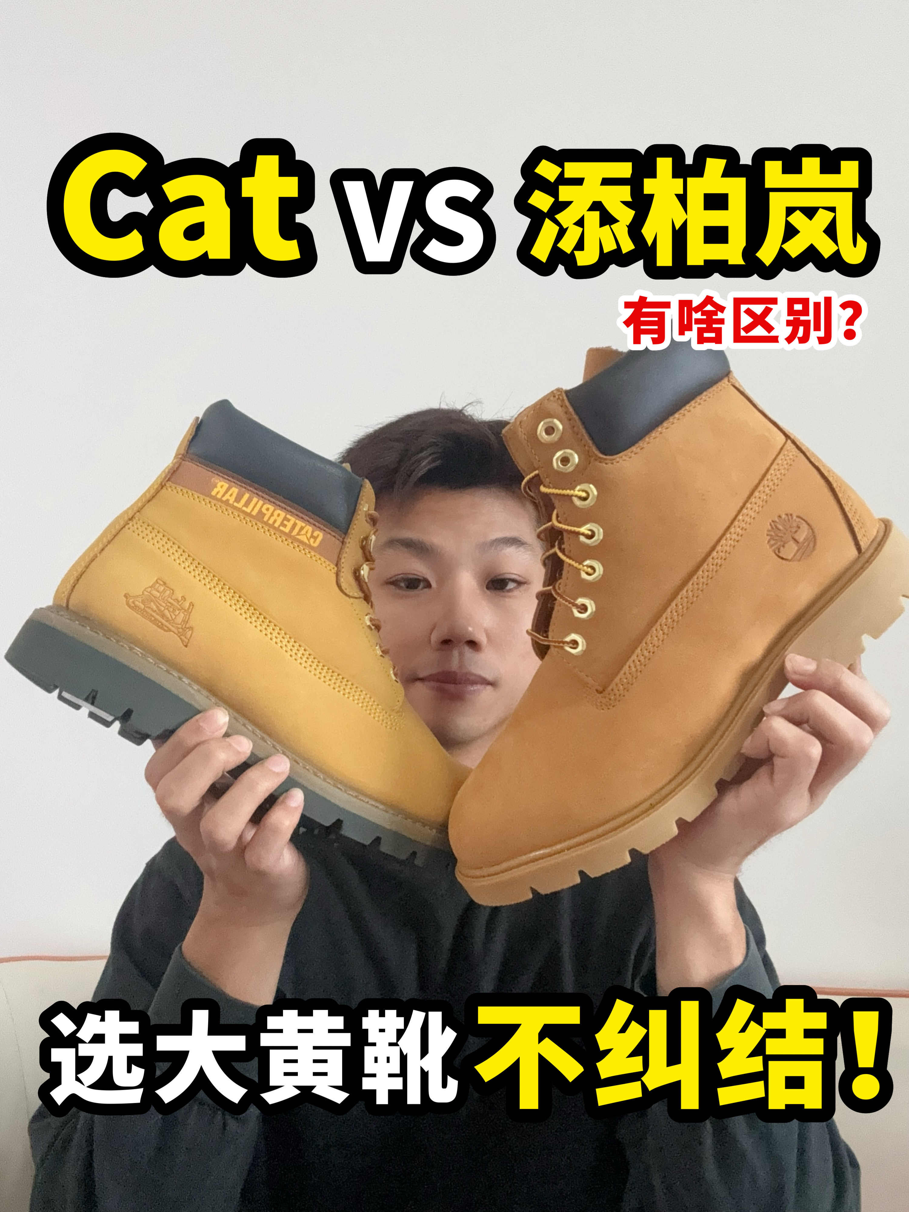 添柏岚和CAT咋选⁉️预算需求说了算