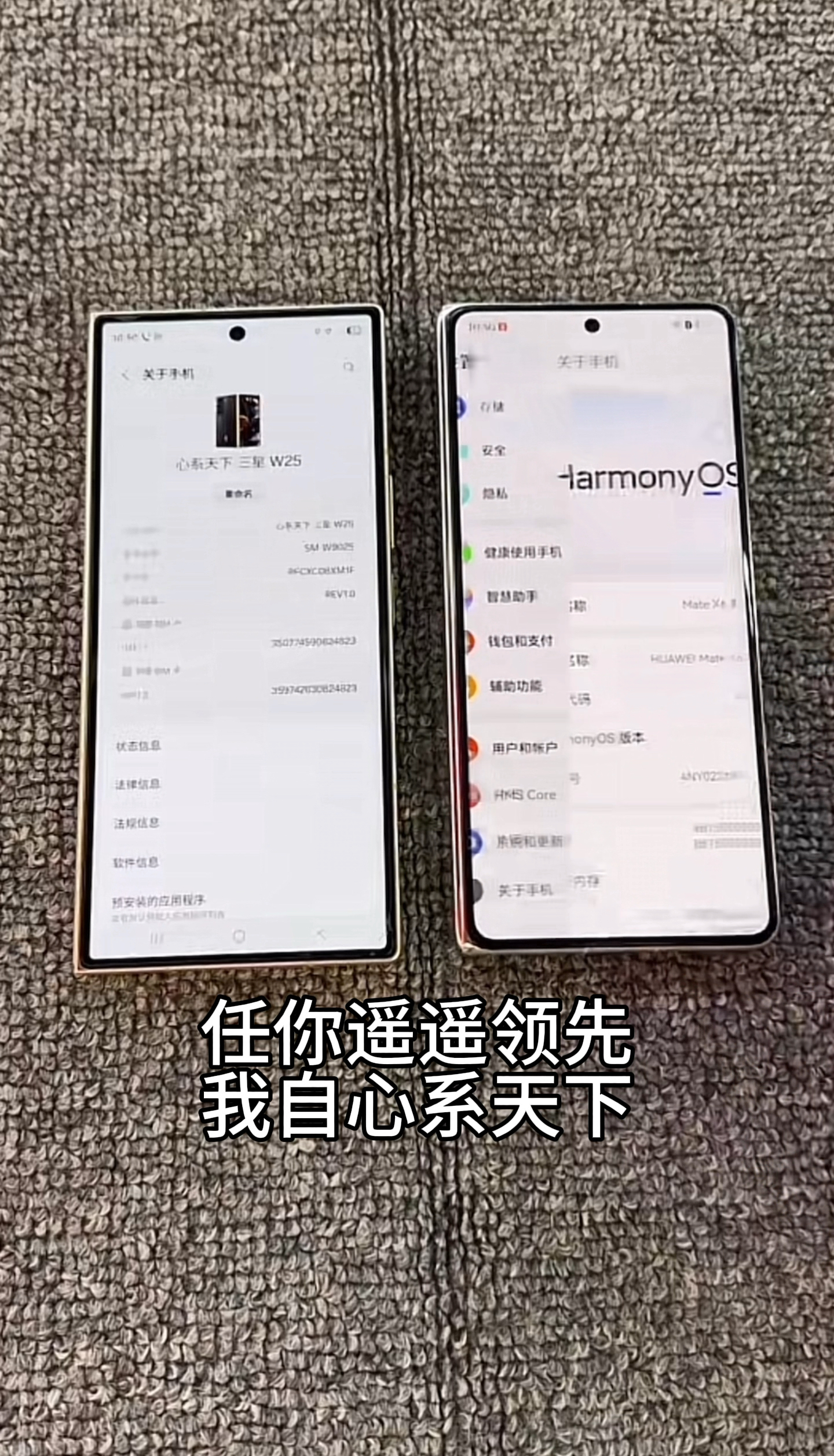 任你遥遥领先,我自心系天下