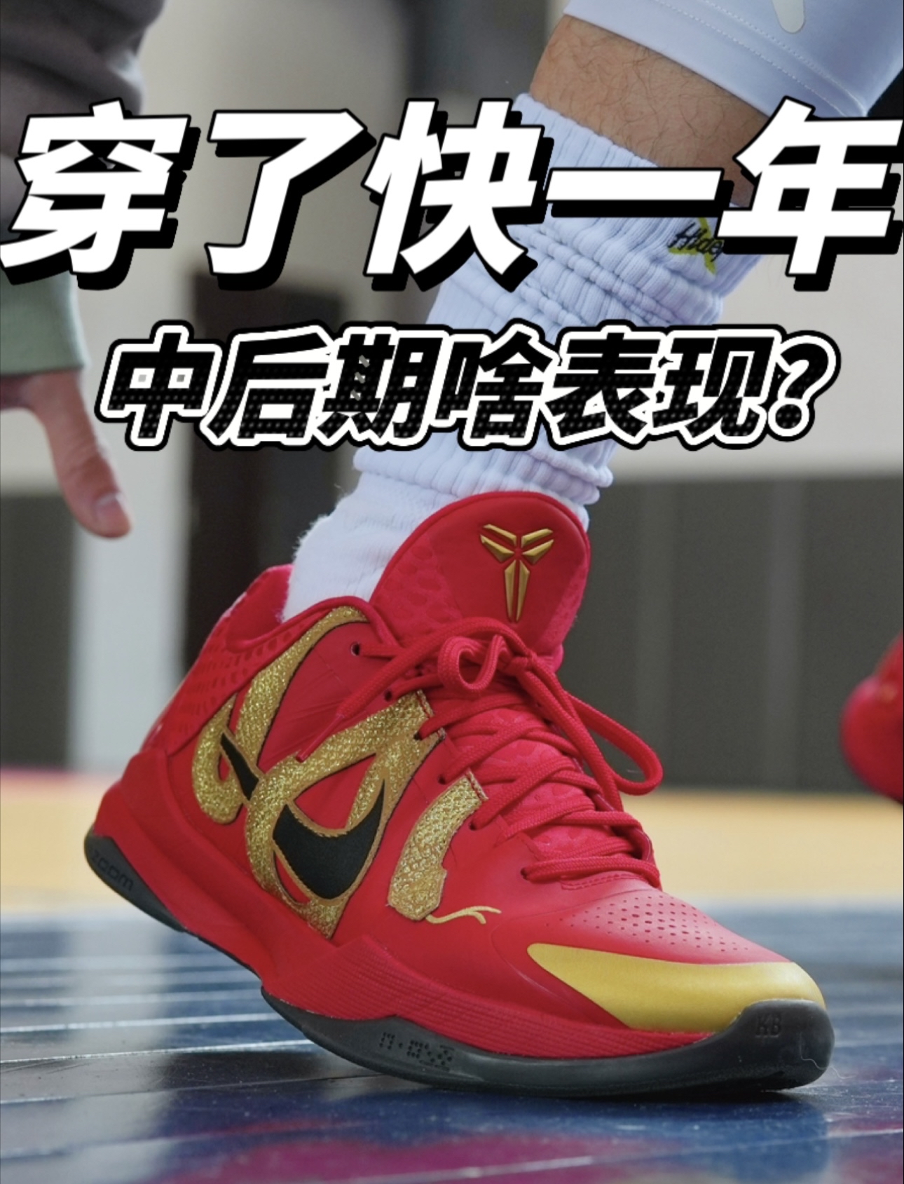 接近一年时间的科5红蛇✅中后期的实战表现如何❓