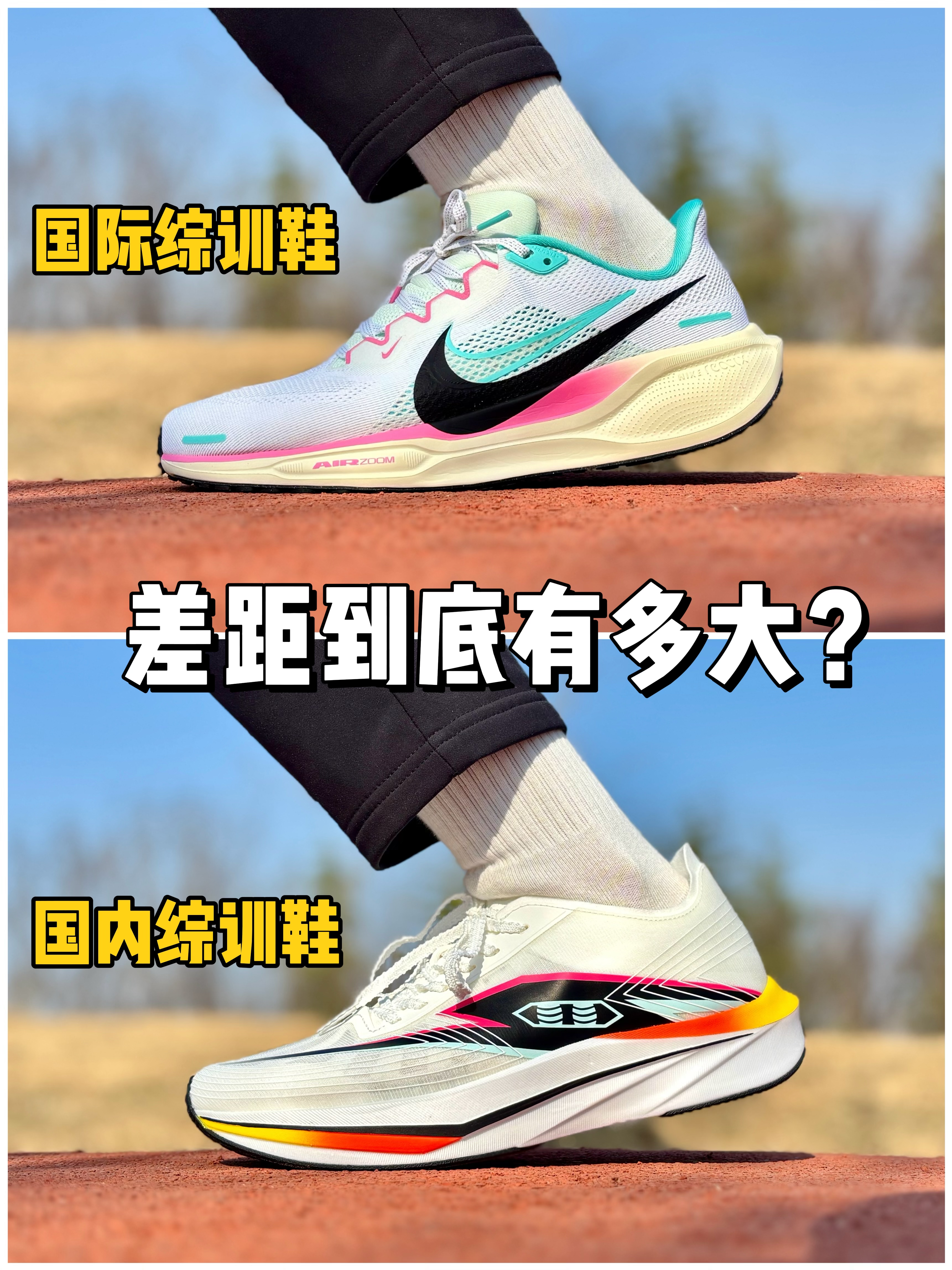 飞马 & 黑马，都是综训鞋，差距到底有多少❓