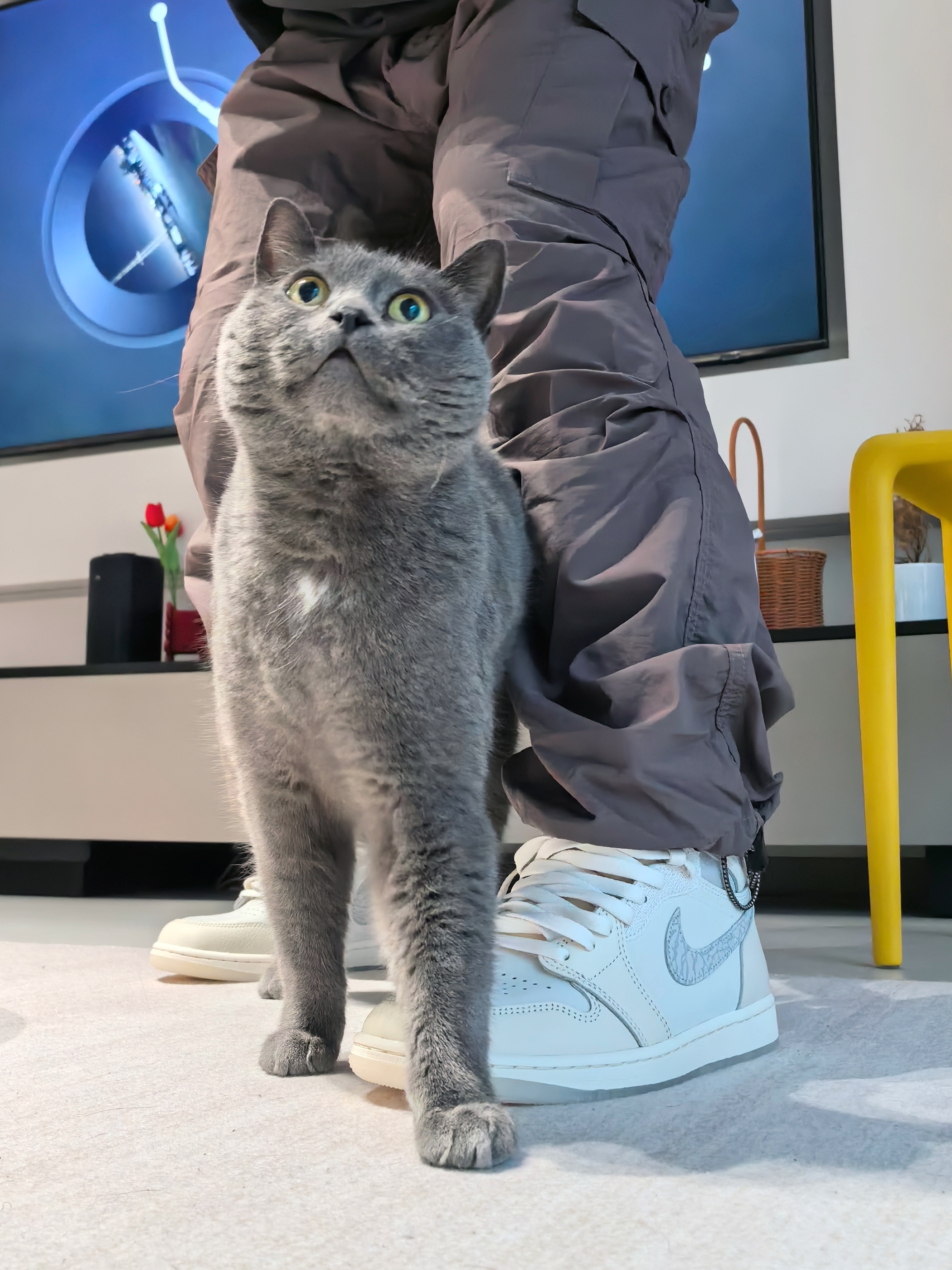 原来它的爱好和我一样❓
