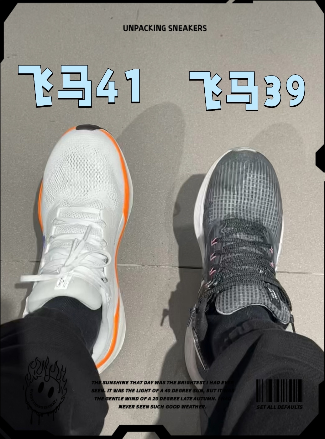 飞马39和41体验感受