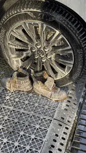 八年老谢 暴力清洗