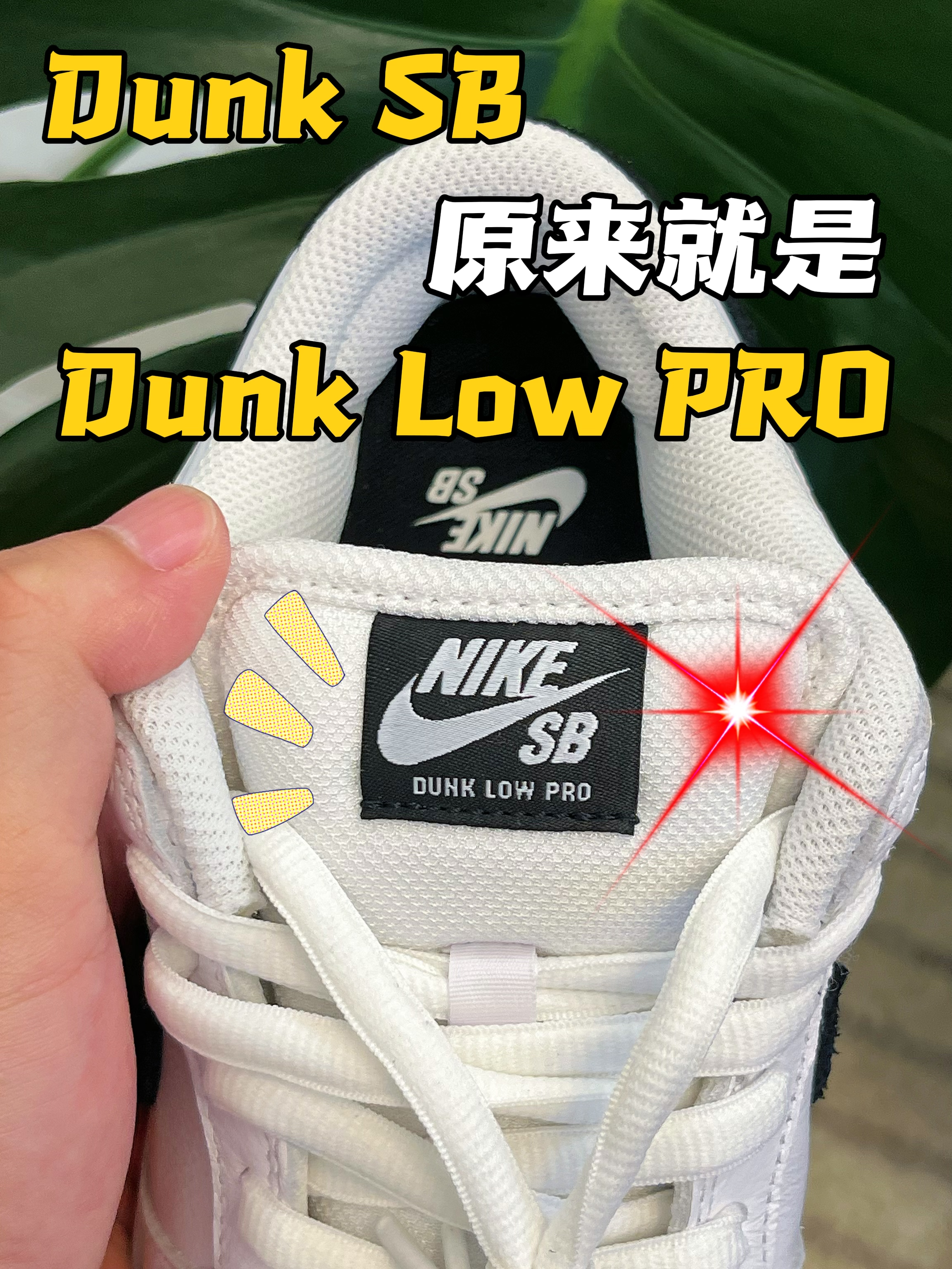 超干净的Dunk SB