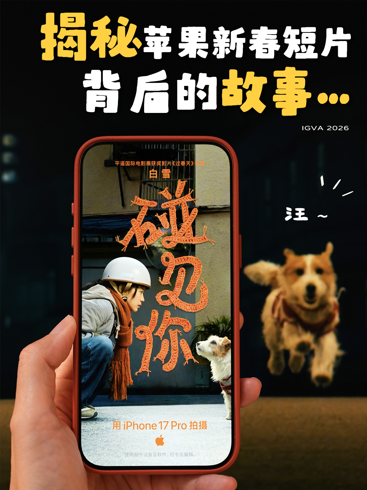 一只流浪狗的故事，iPhone拍出温情新春短片