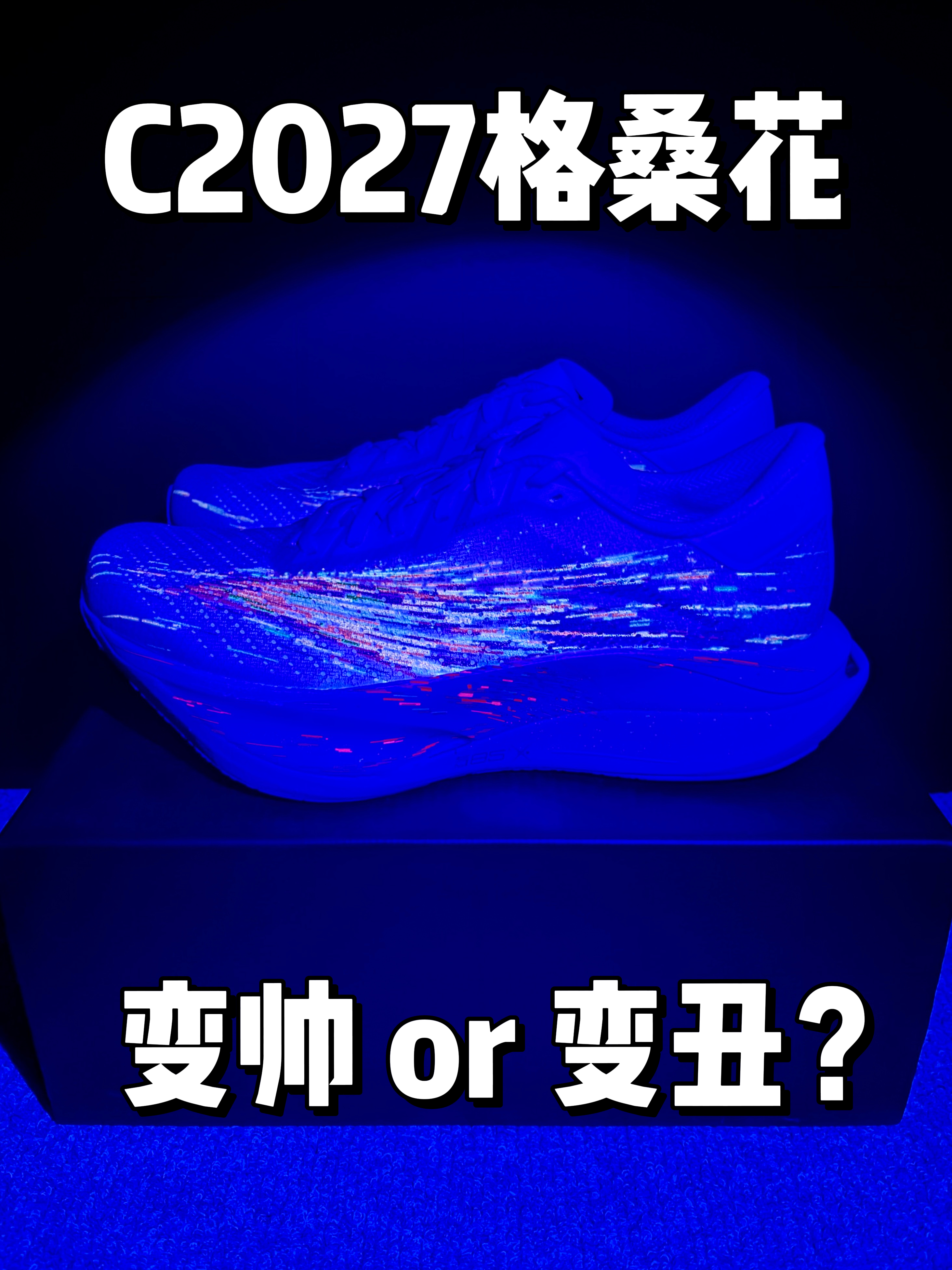 C2027格桑花，变帅还是变丑❓