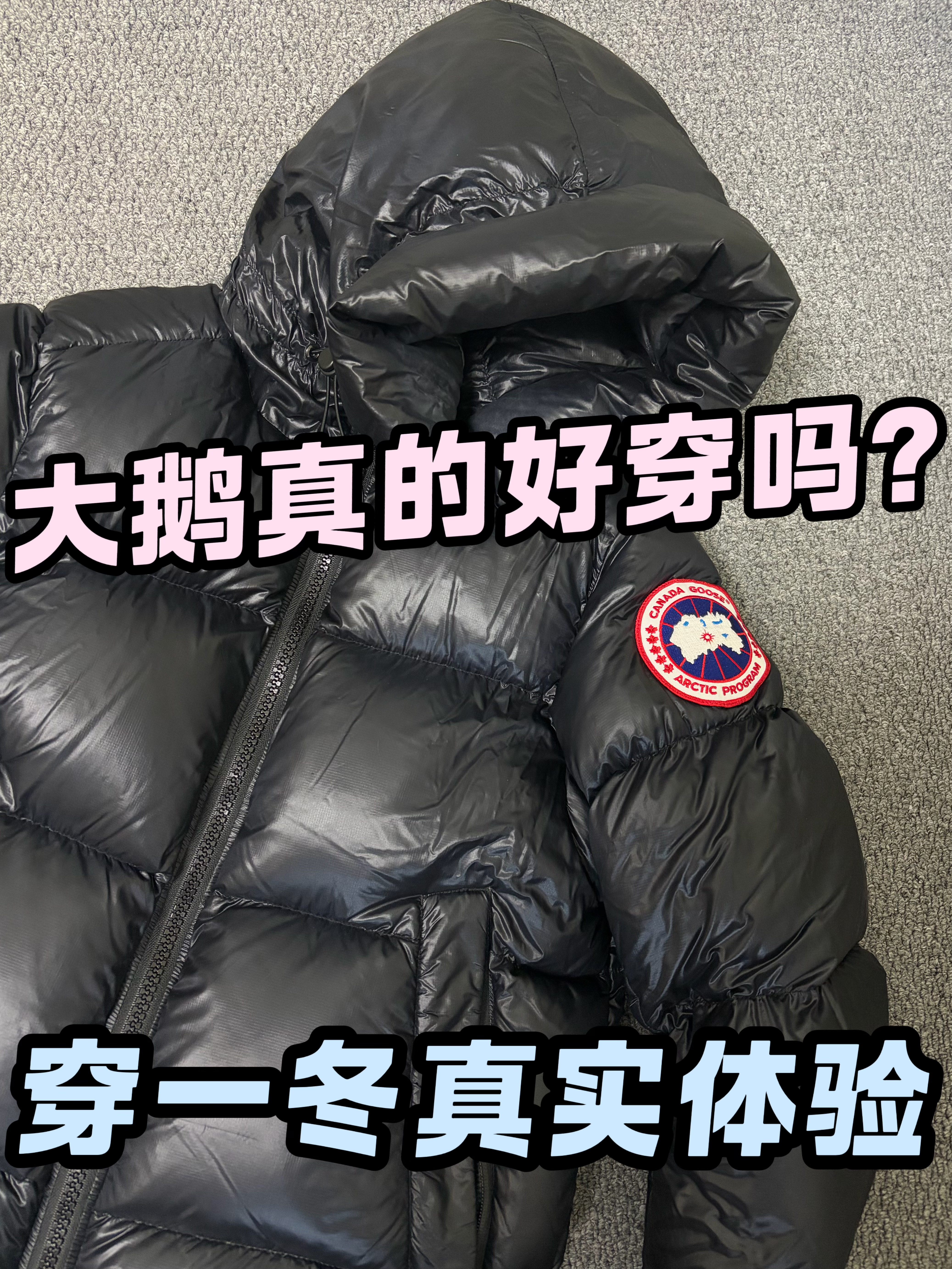 六千多的大鹅到底值不值？