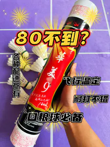 学生党必看!口粮球推荐