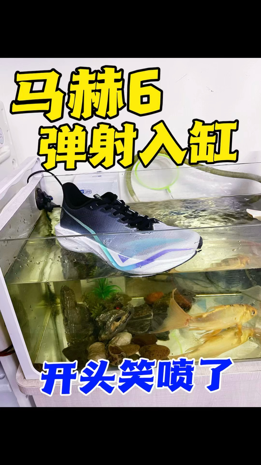 🔥马赫6之弹射起飞『猴王出世效果』