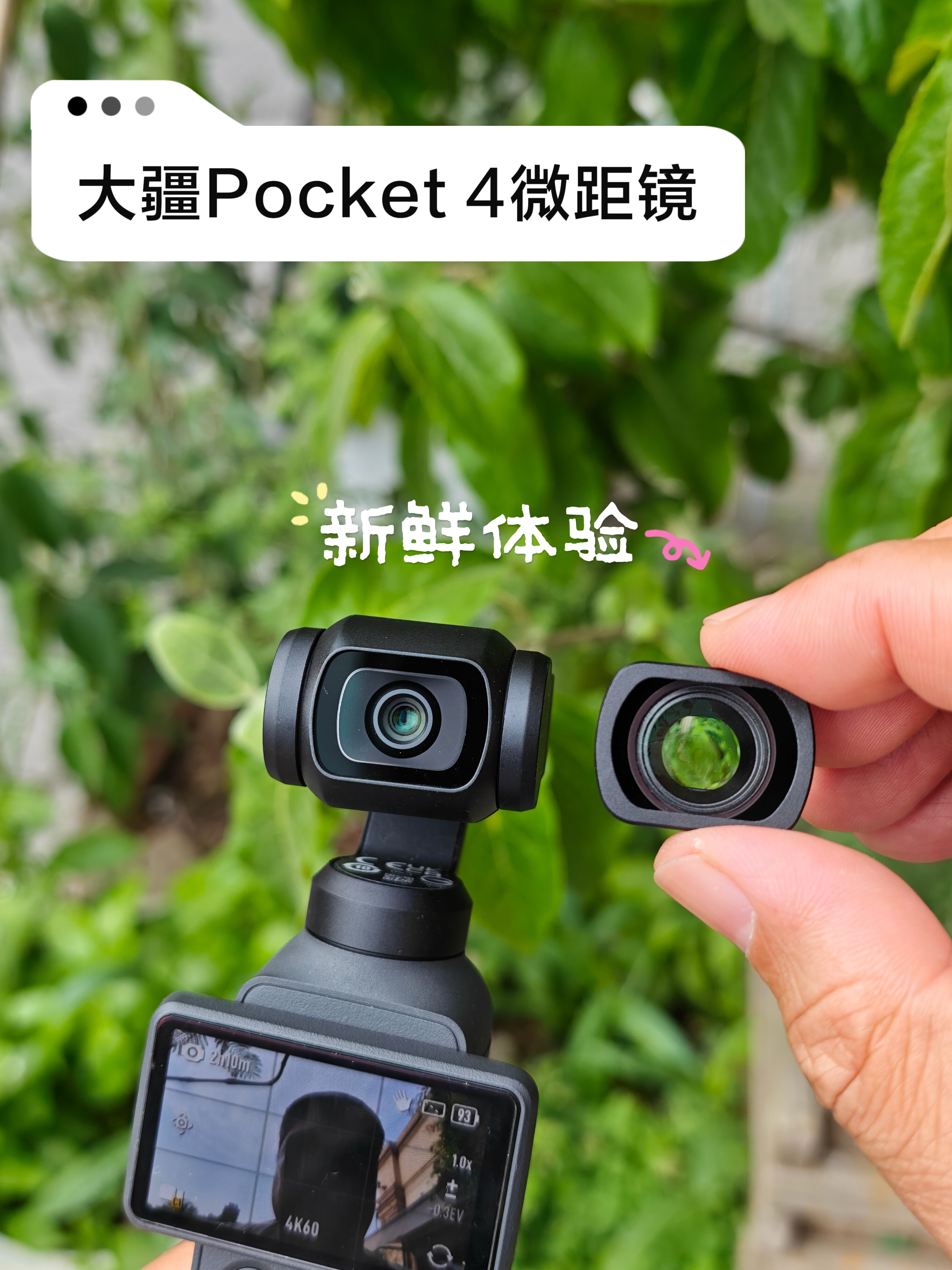 Pocket 4微距镜：有效果，不够用