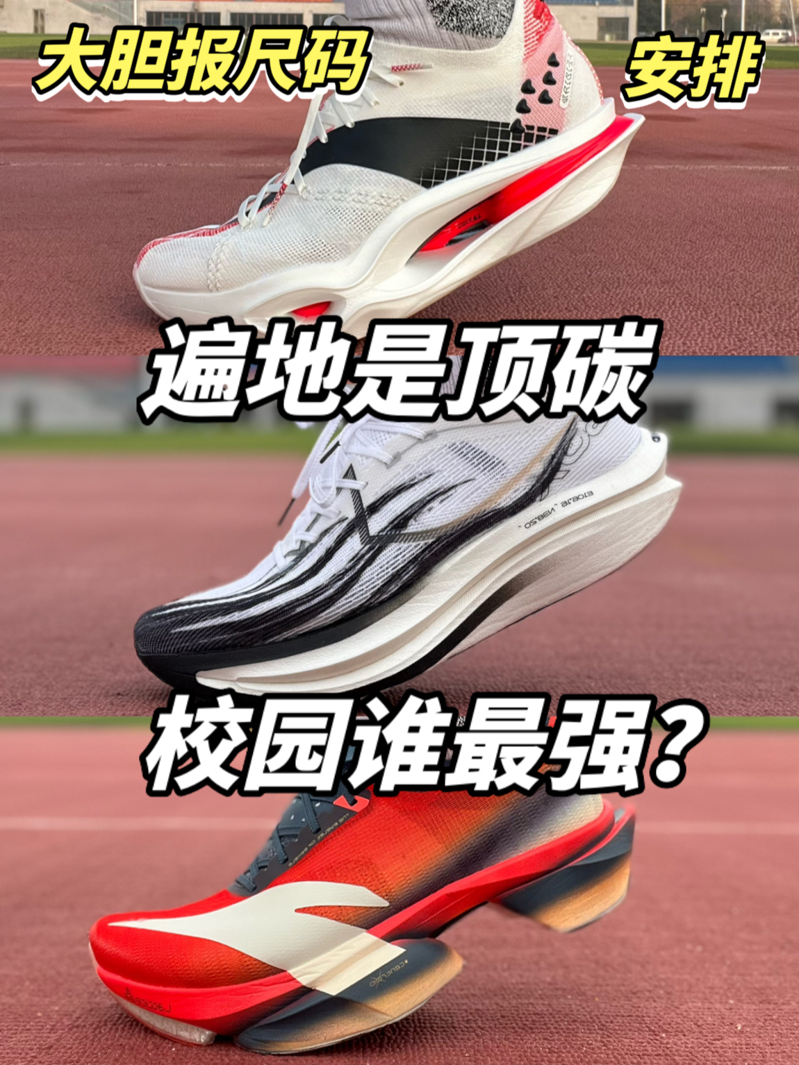 遍地是顶碳!谁才是大哥?