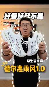德尔惠乘风1.0 真的要这么卷吗