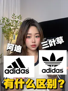 这两个牌子有什么区别?
