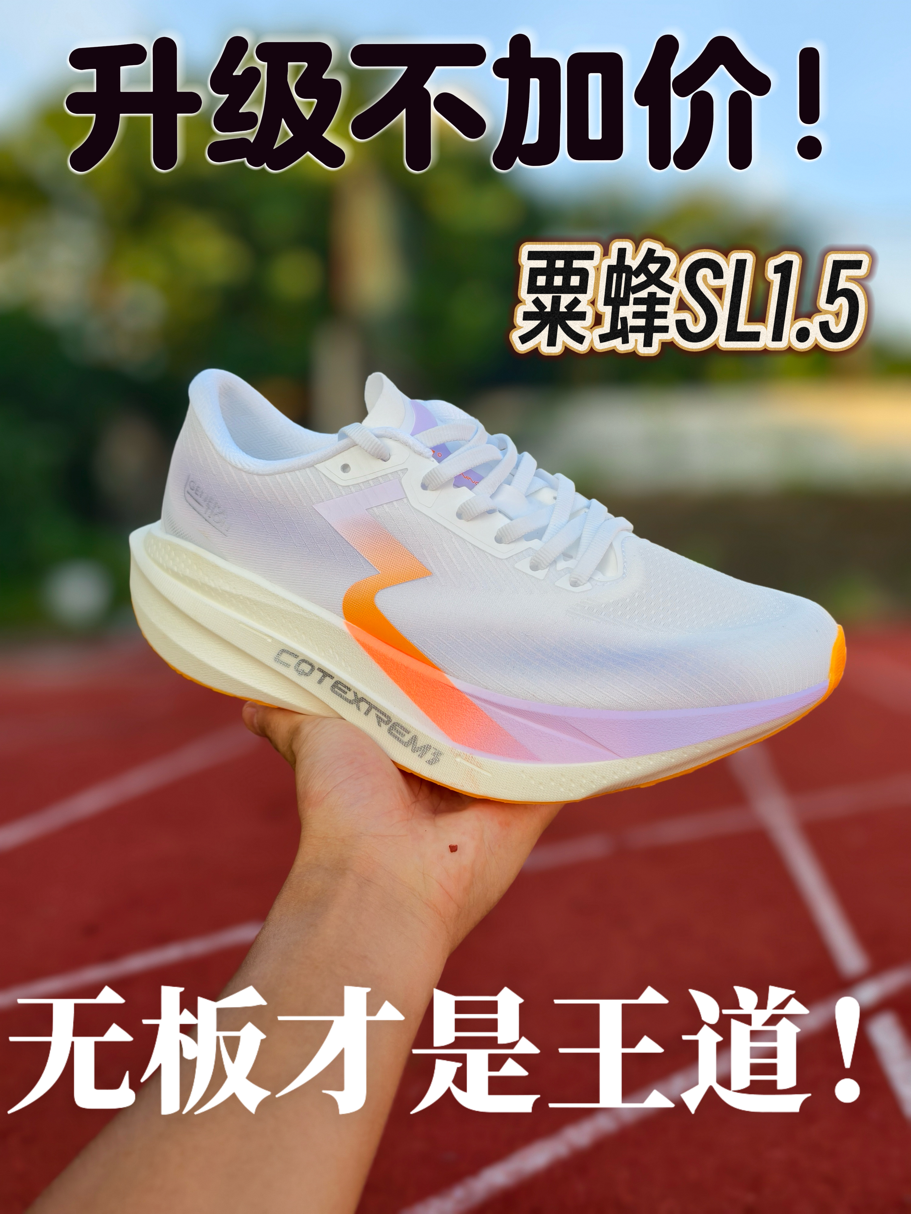 训练别再死磕碳板｜361栗蜂SL1.5深度体验❗️❓