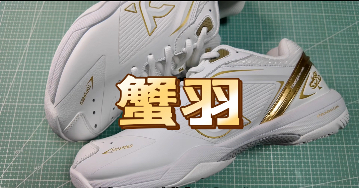 蟹羽羽毛球鞋