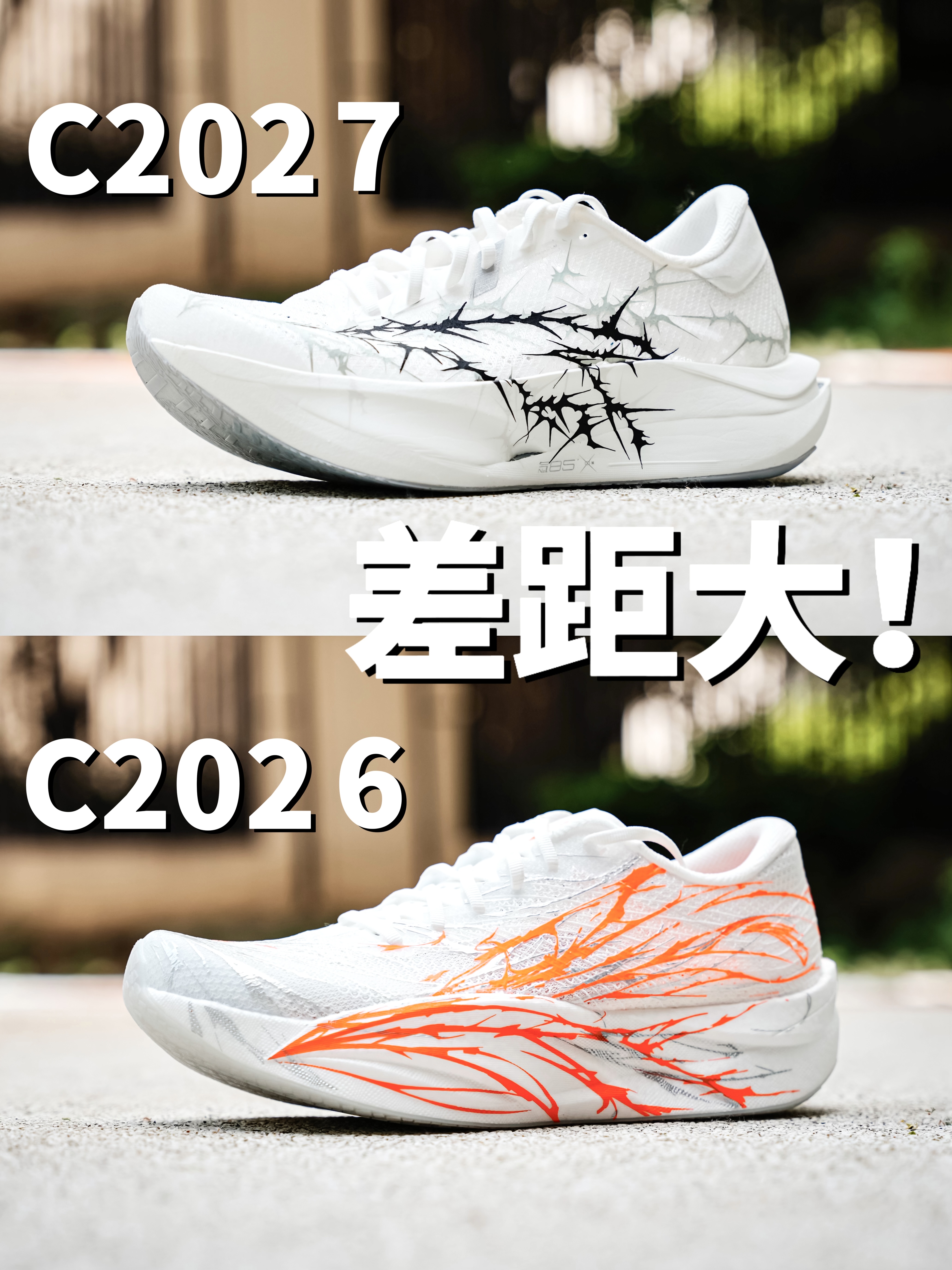 踏子当家次顶碳、该怎么选❓