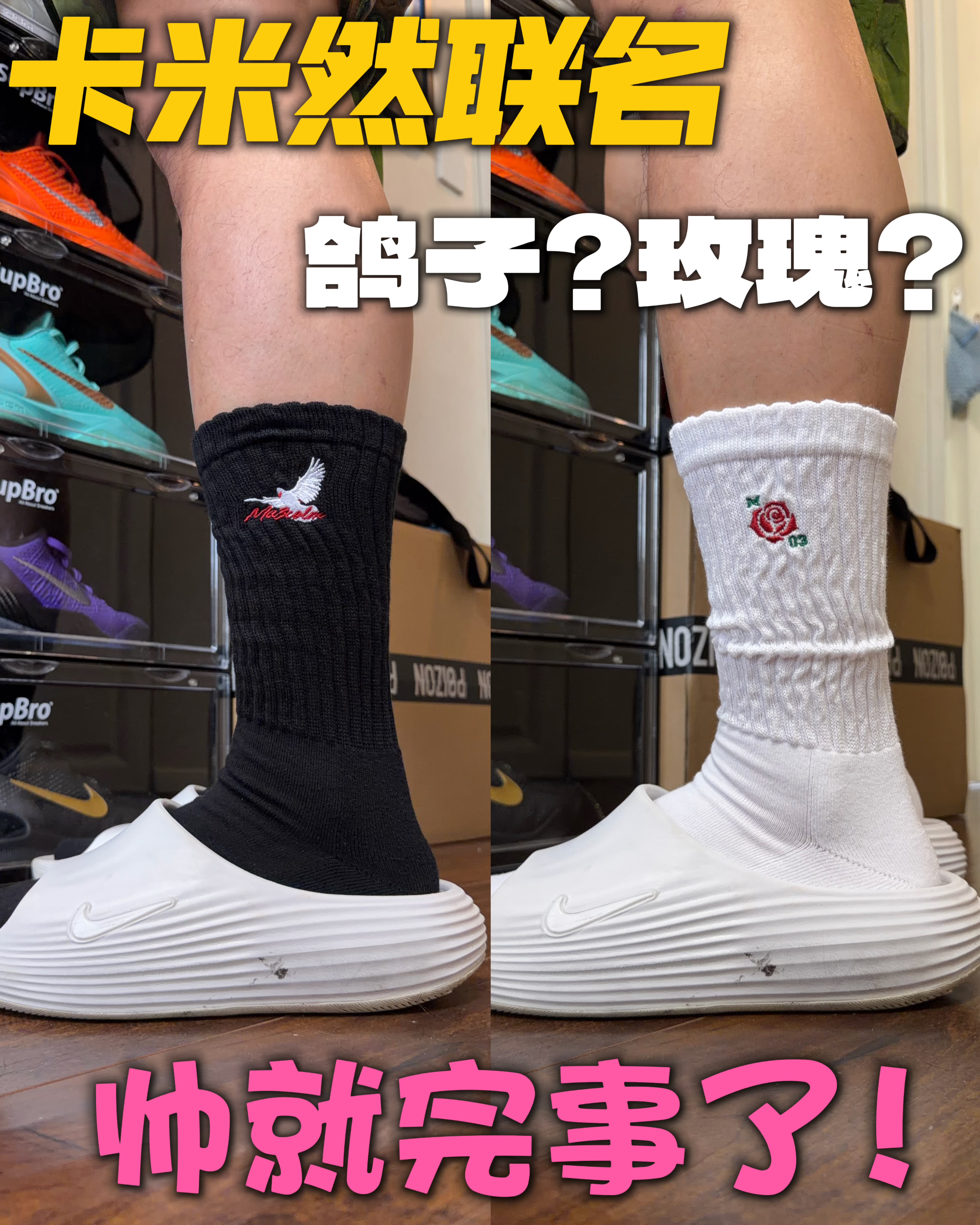 鸽子还是玫瑰🌹