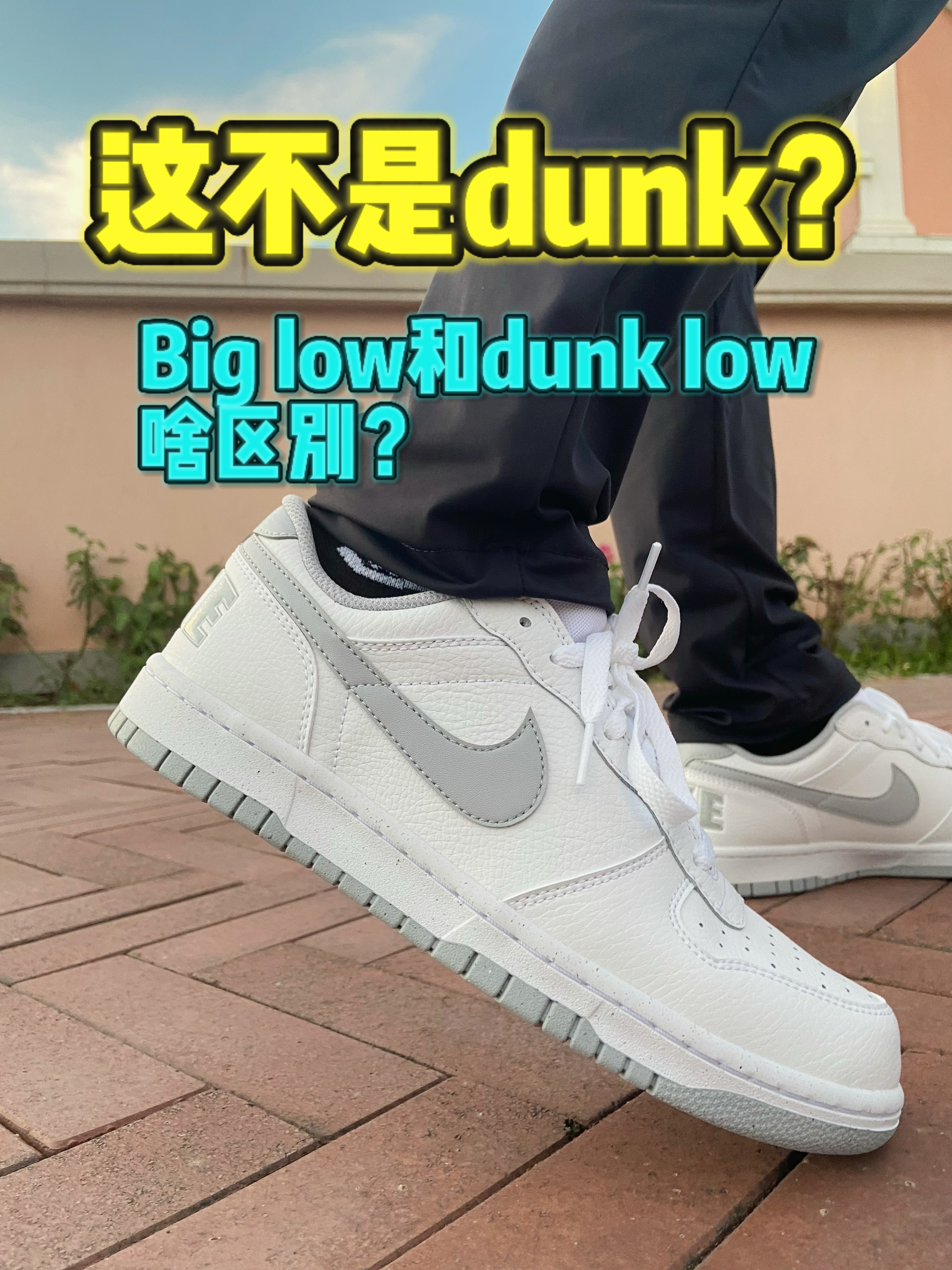 怎么分辨BIG low 和dunk low？