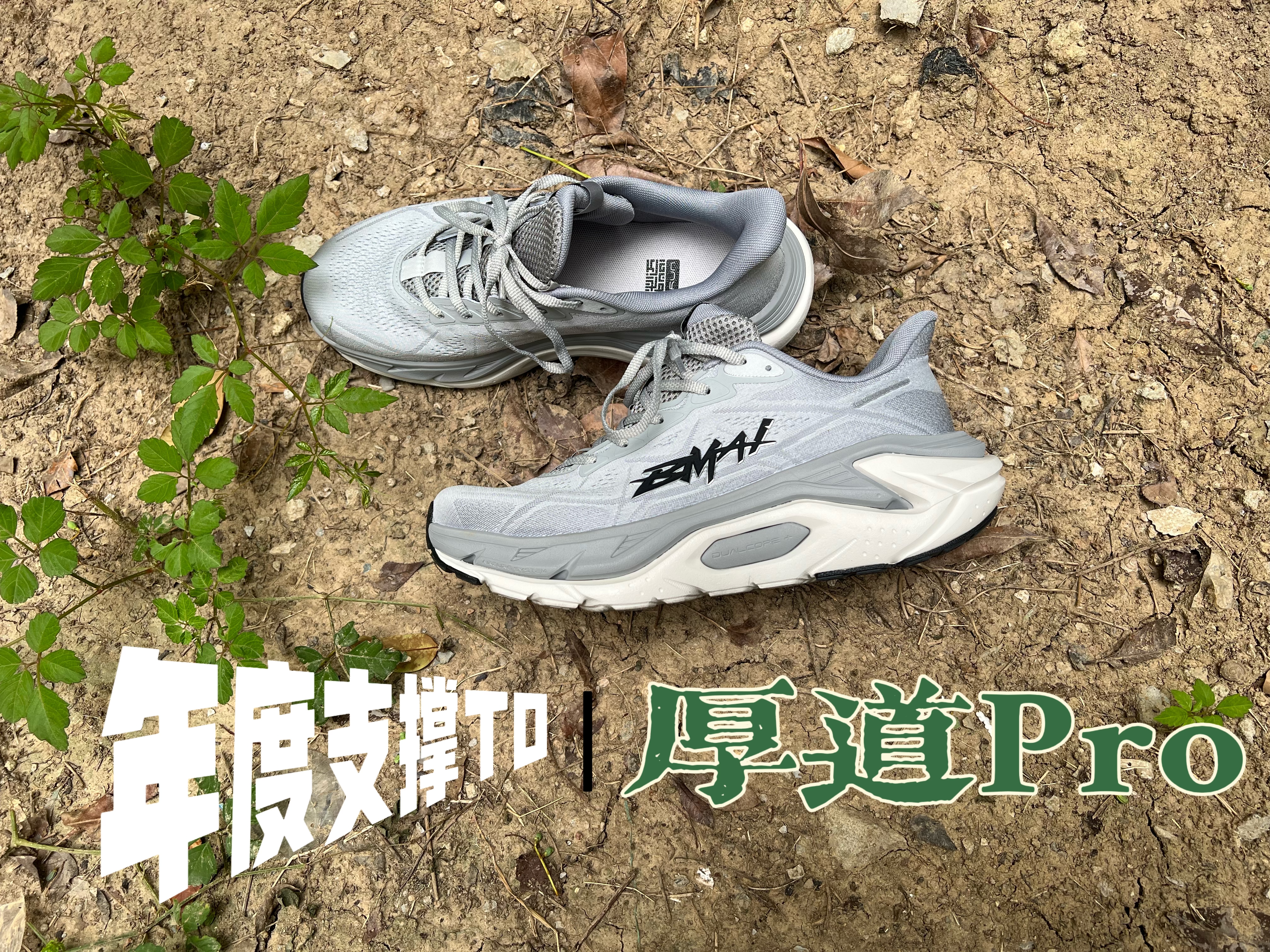 厚道pro