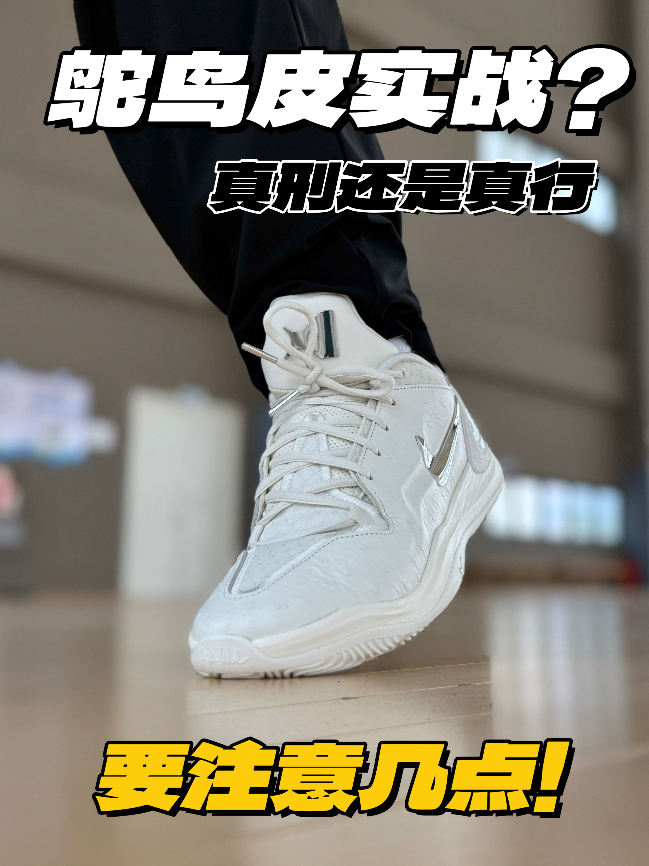 鸵鸟皮实战?白标配色实战什么体验?