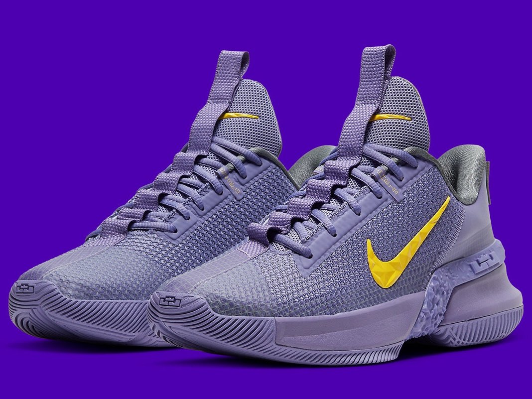Nike LeBron Ambassad