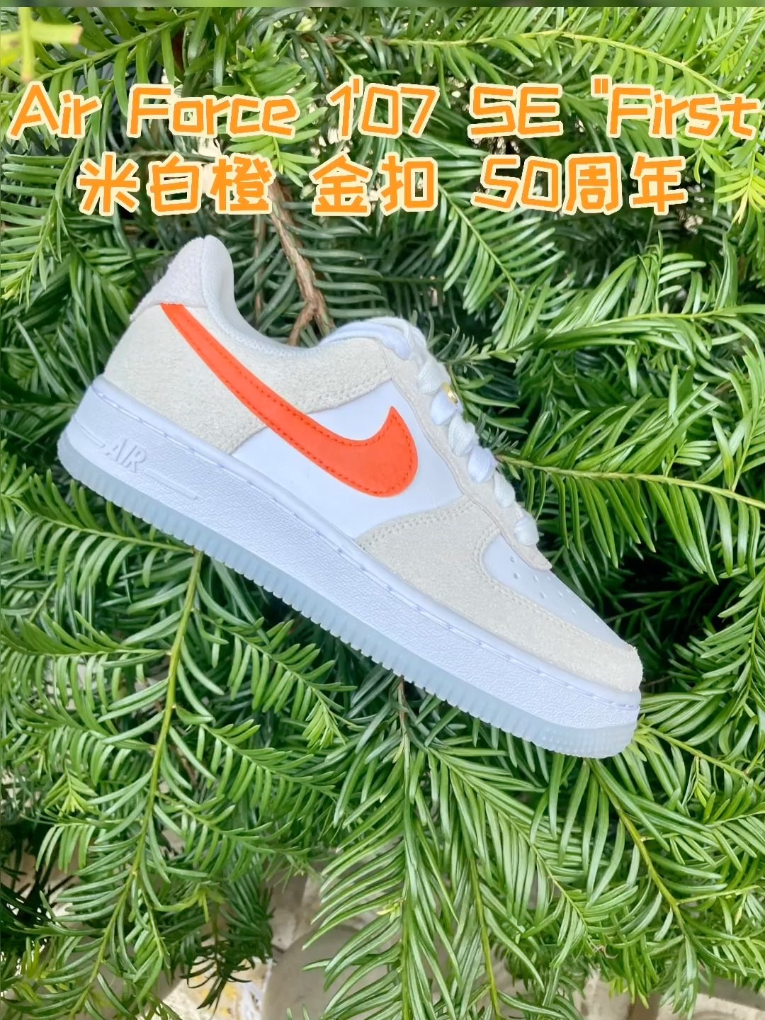Nike Air Force 1'07 
