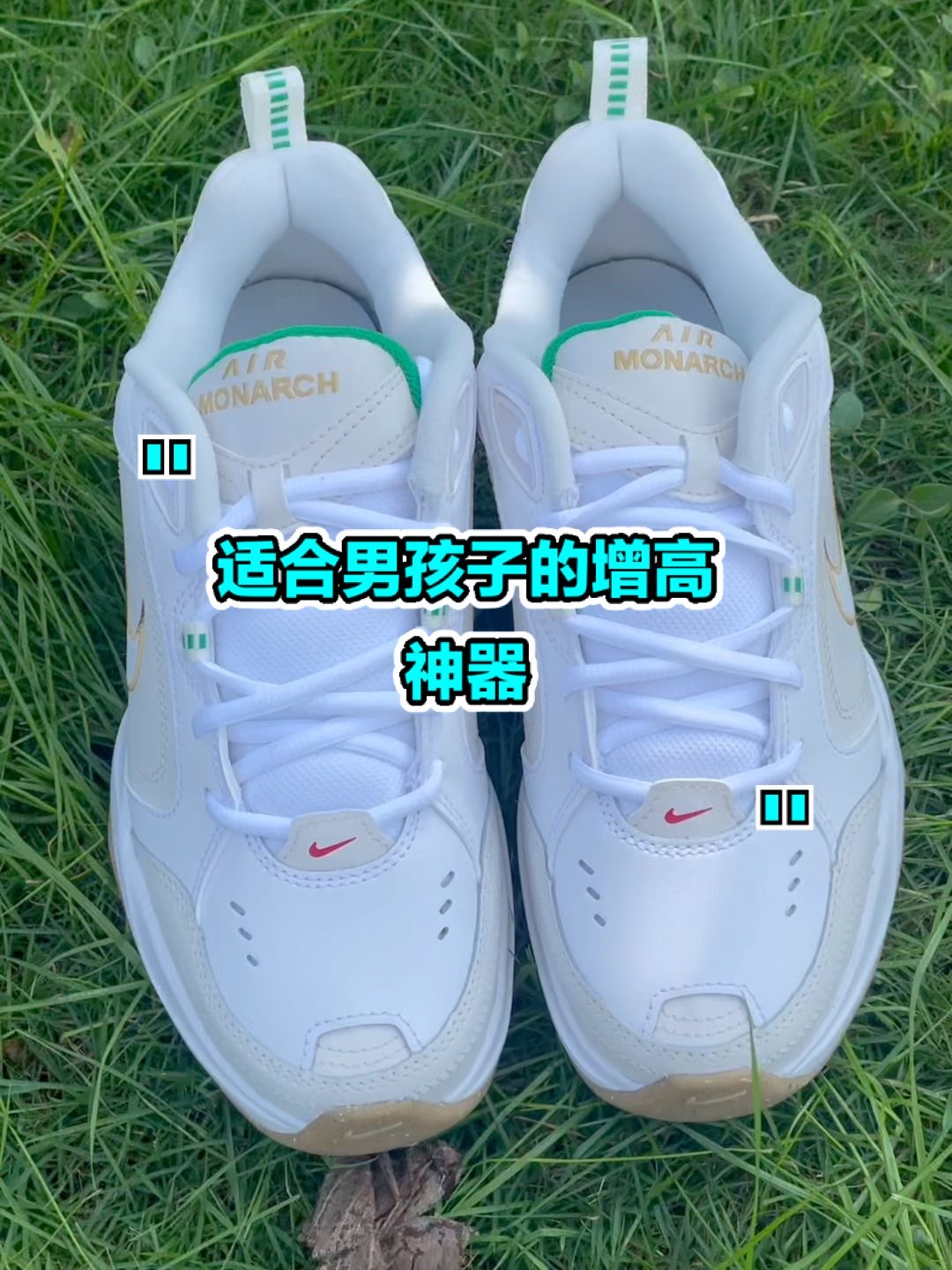 👟：Nike Air Monarch 4