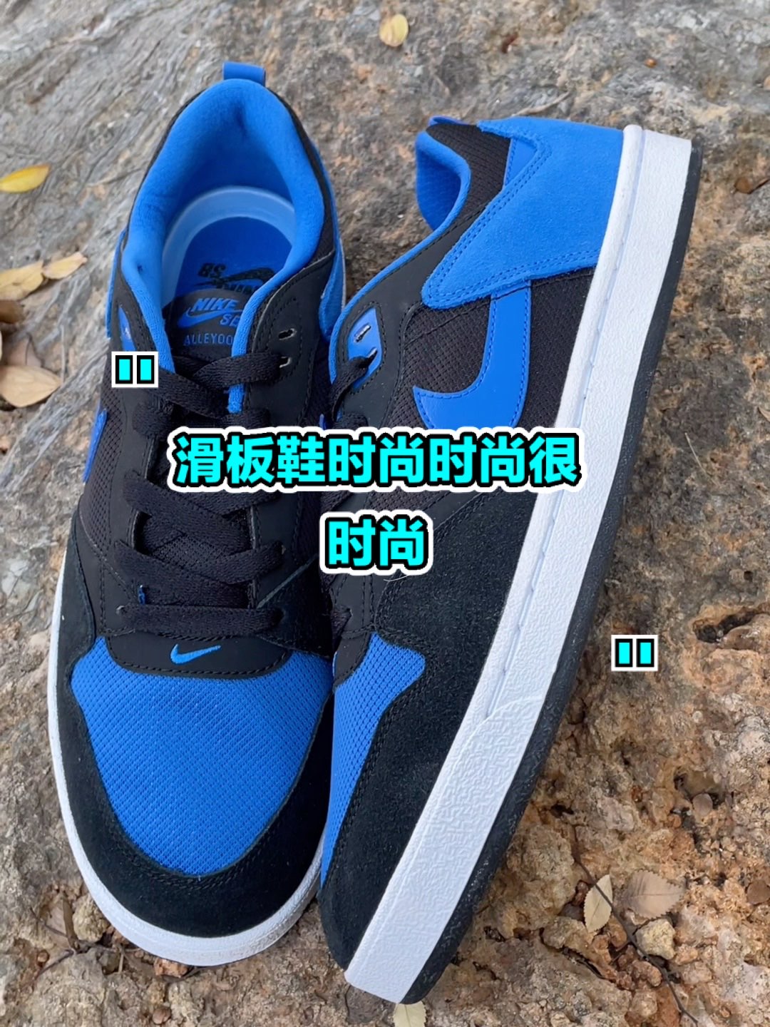 👟:Nike SB Alleyoop "