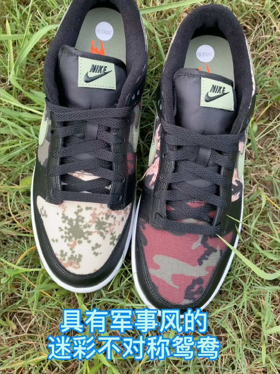 👟：Nike Dunk Low SE "