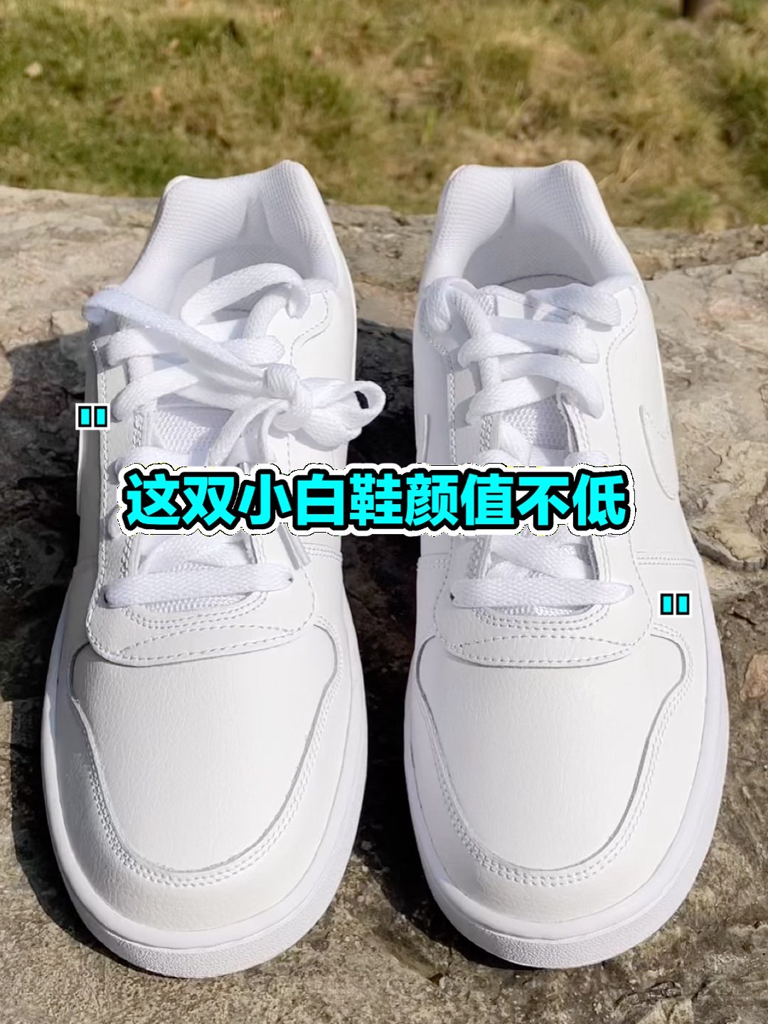 🍂:Nike Ebernon Low 复