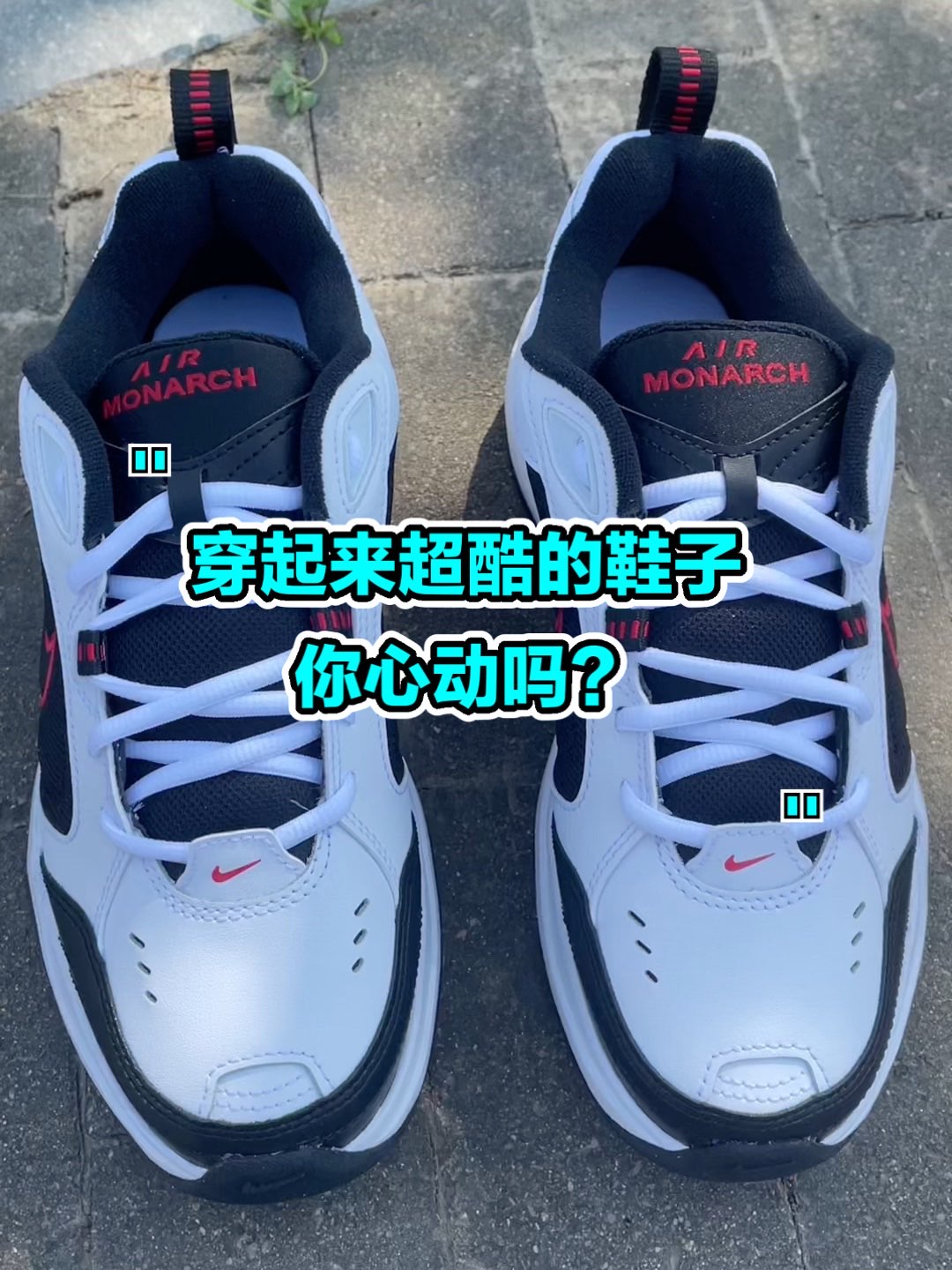 🍑：Nike Air Monarchlv
