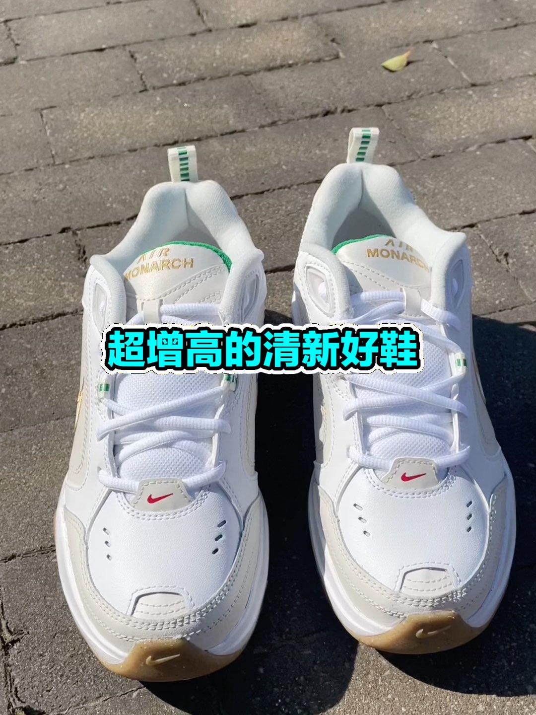 🍂：Nike Air Monarch 4