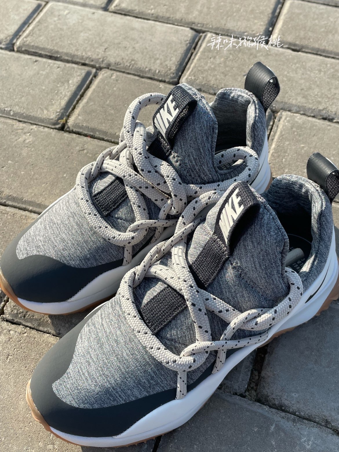 🪂：Nike Wmns City Loo