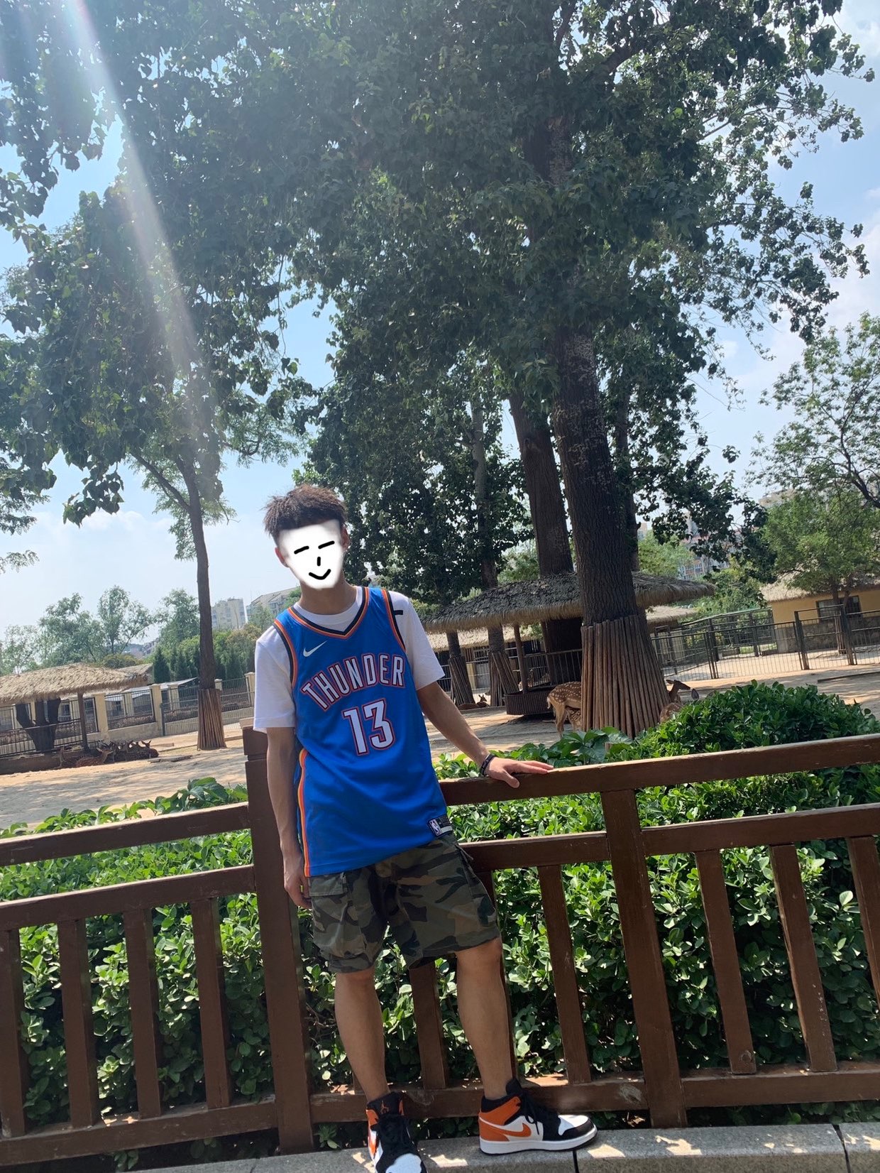 🦌🦌🦌
