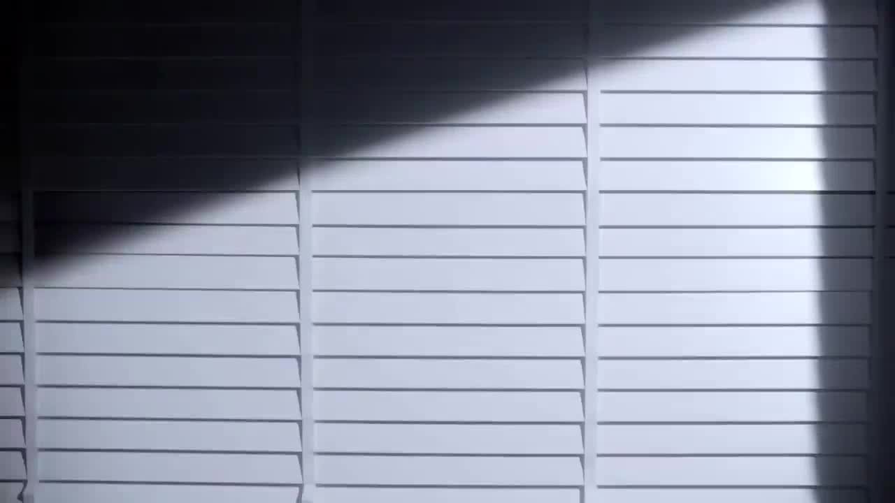 新折叠屏手机Z Fold2