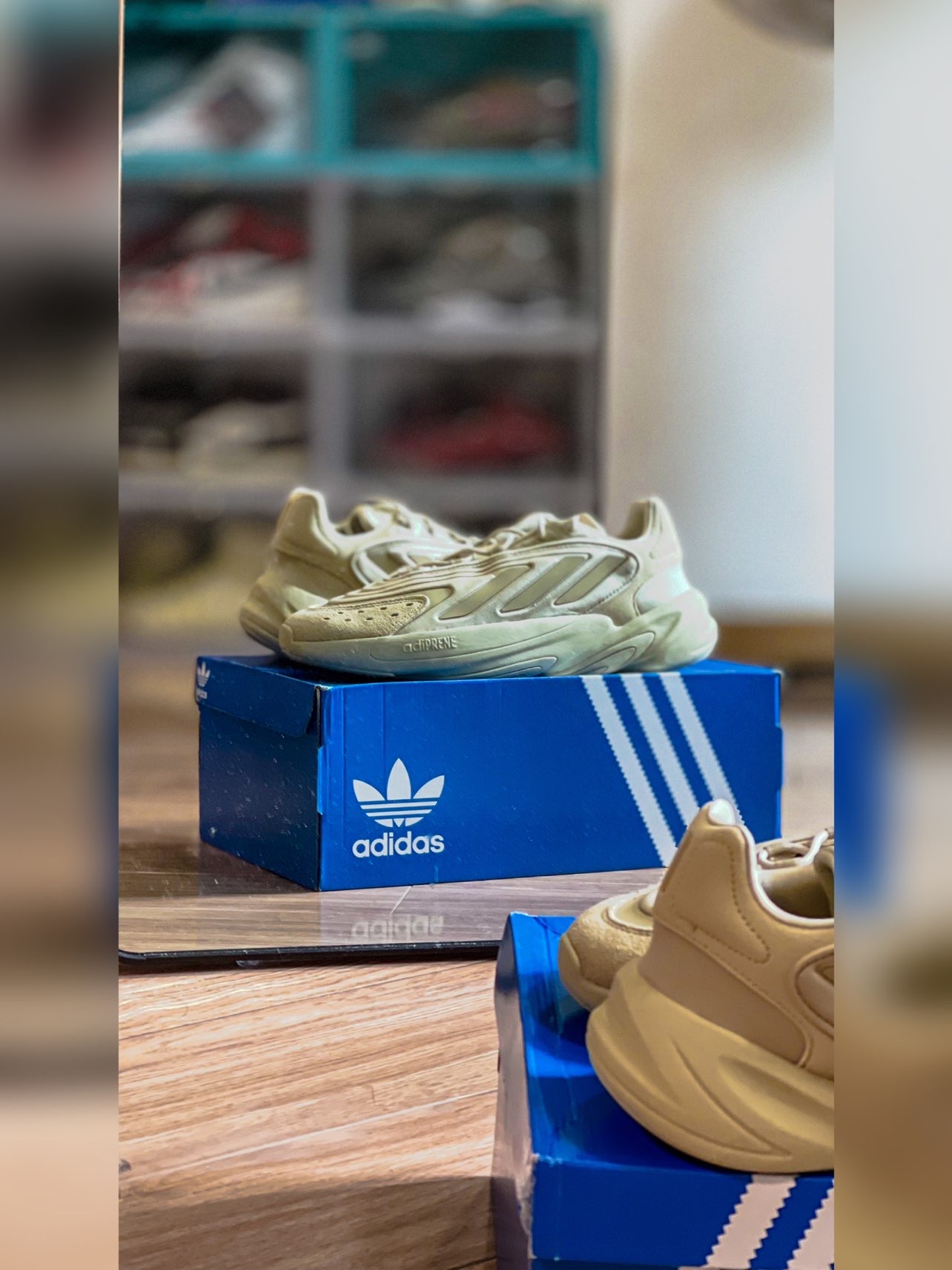 今日开箱：Adidas Original