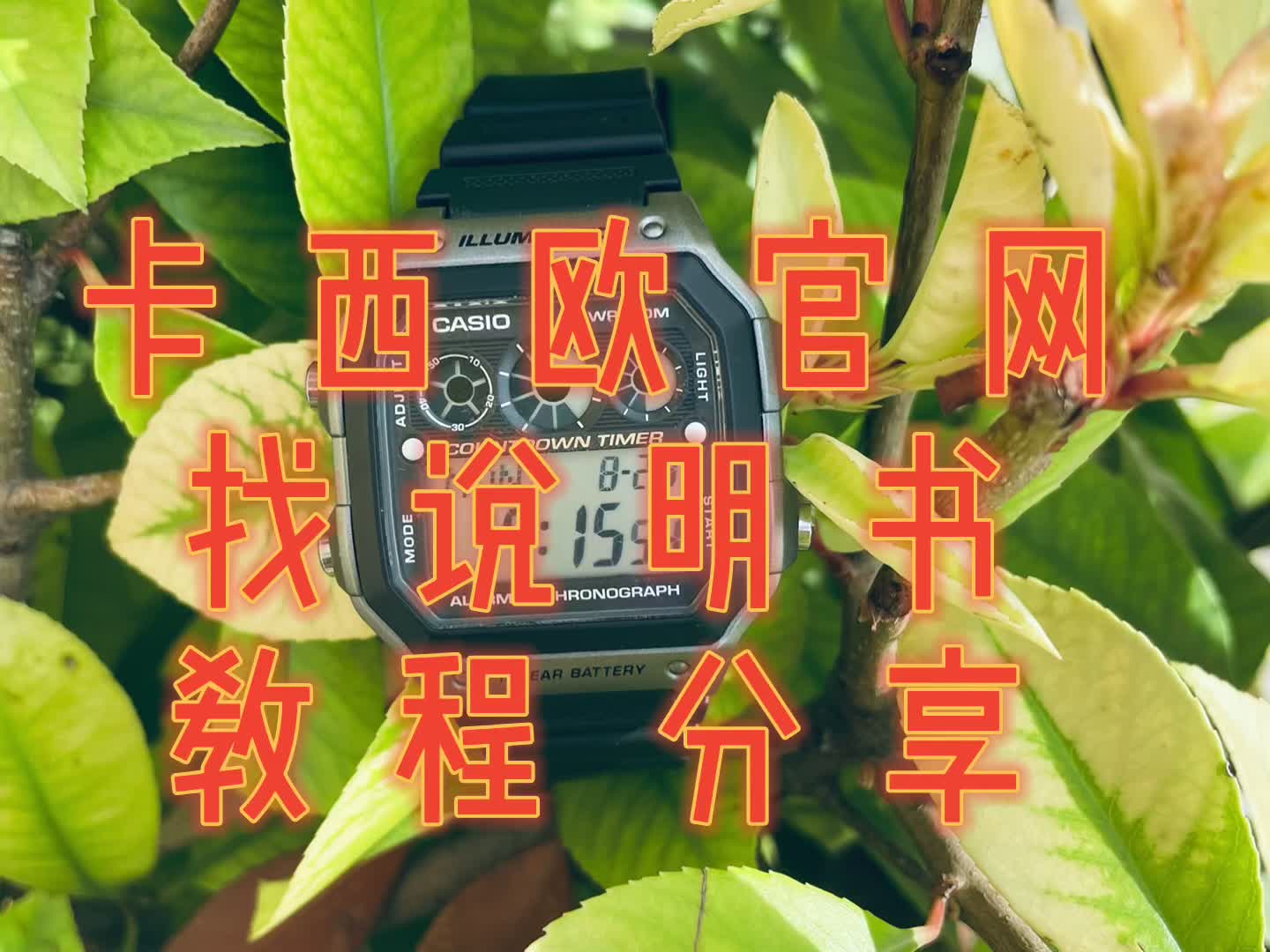 卡西欧说明书查找教程