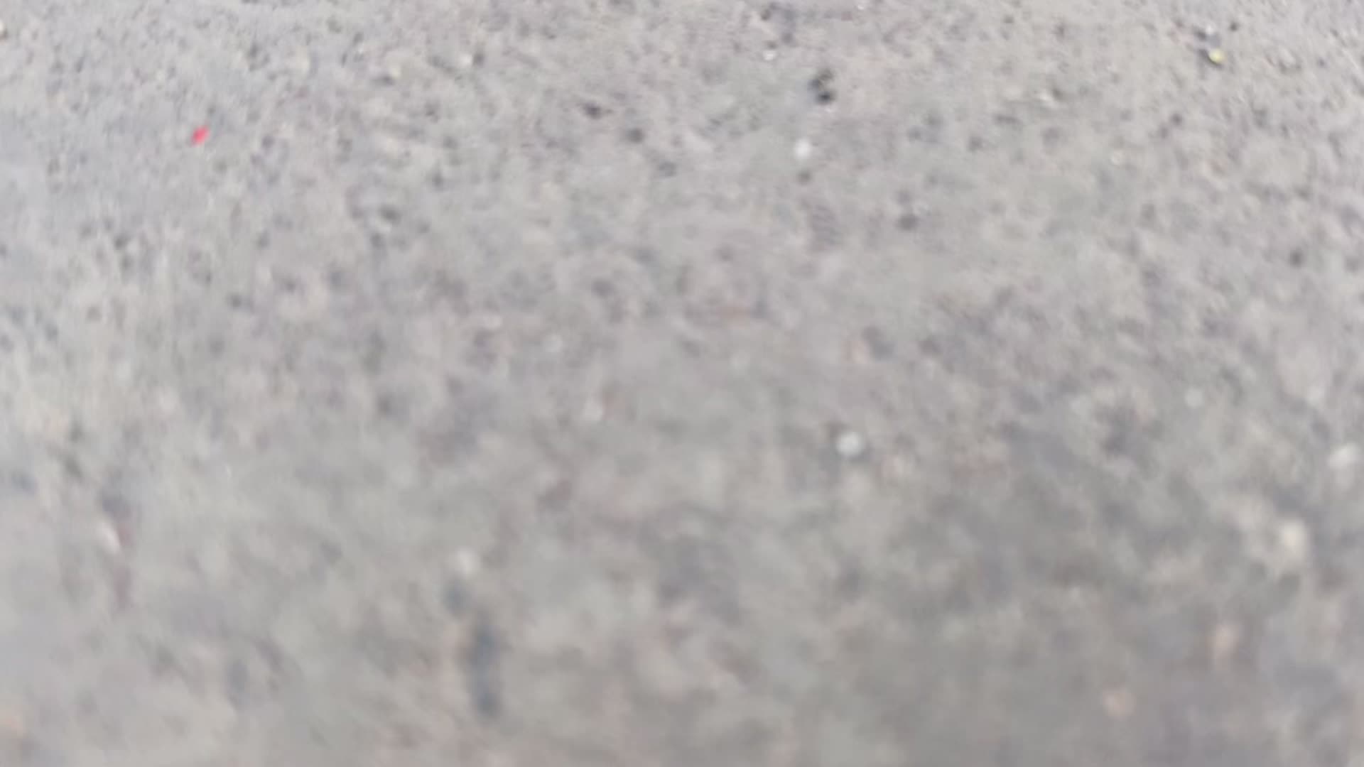 🍉来听夏日的声音