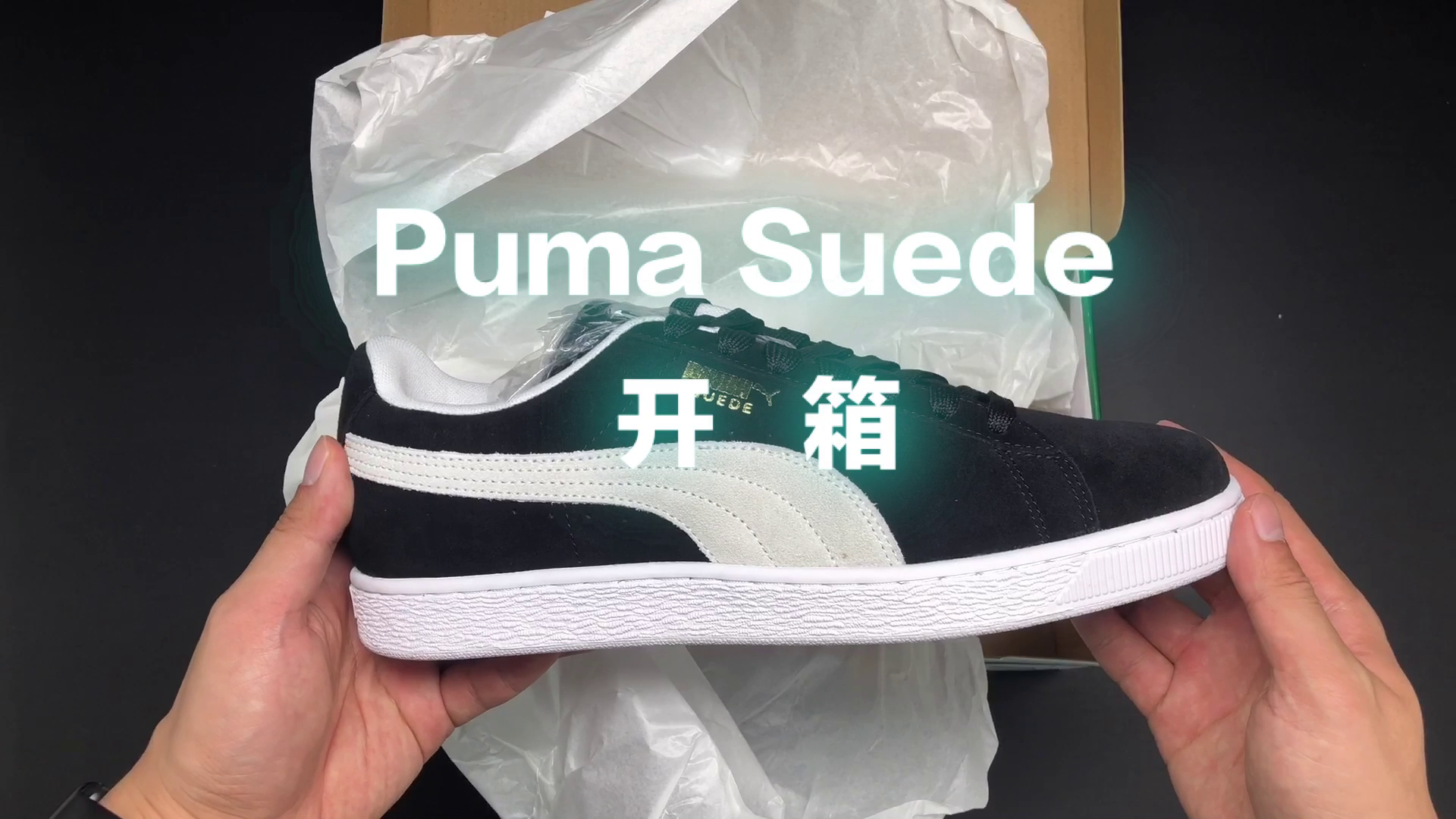 哈开开（十四）
今年的双十一早早的从预售