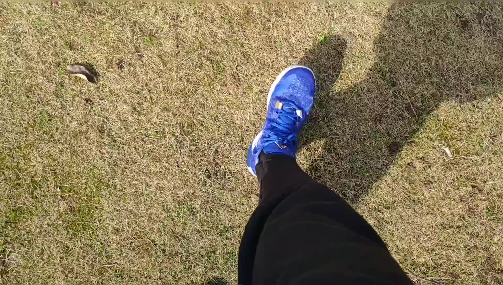 春季字母哥一代篮球鞋上脚测评୧( ⁼̴̶̤̀ω⁼̴̶̤́ )૭